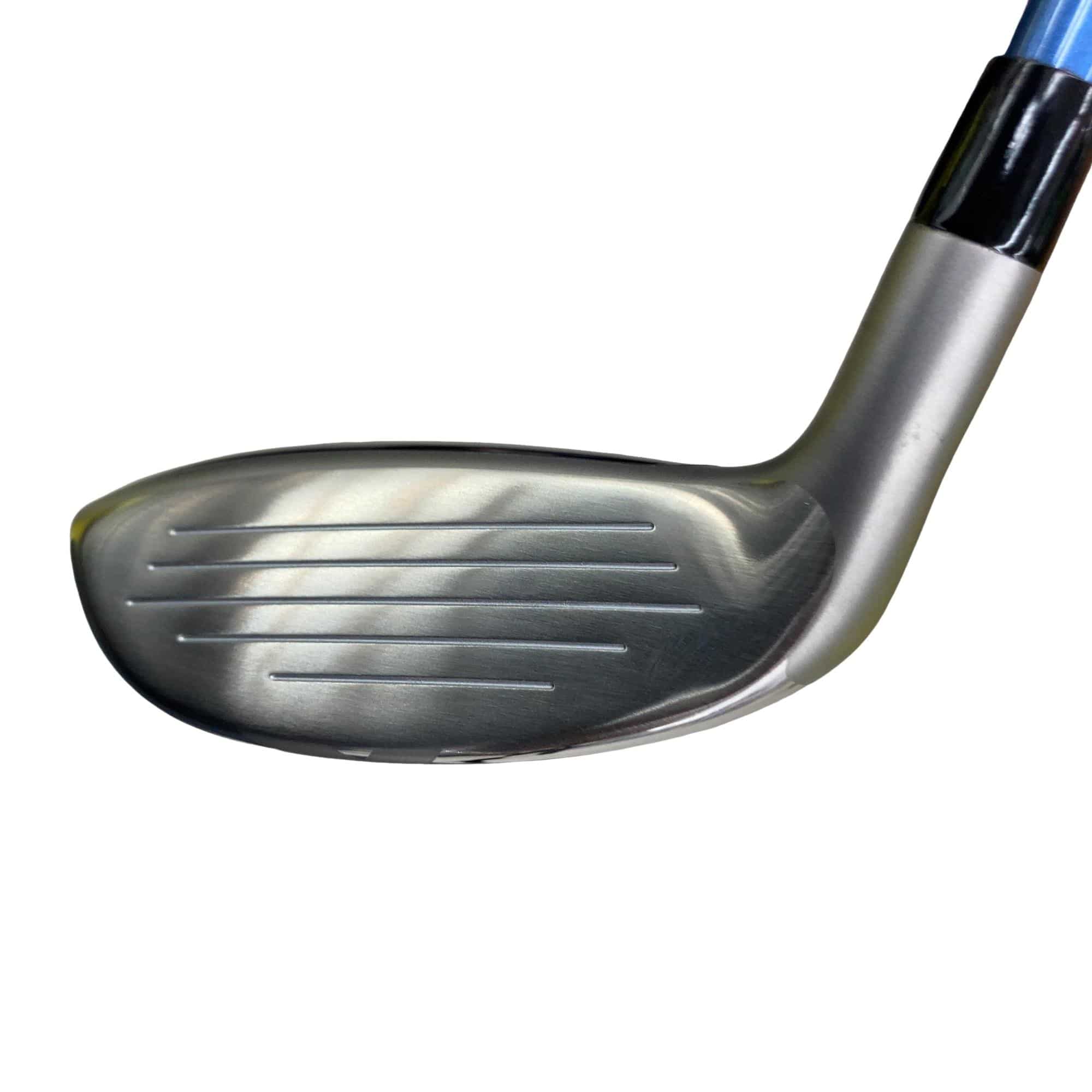 �a�q�|�w�@�_�[�N�O���[�@�t�U�@���f�B�[�X