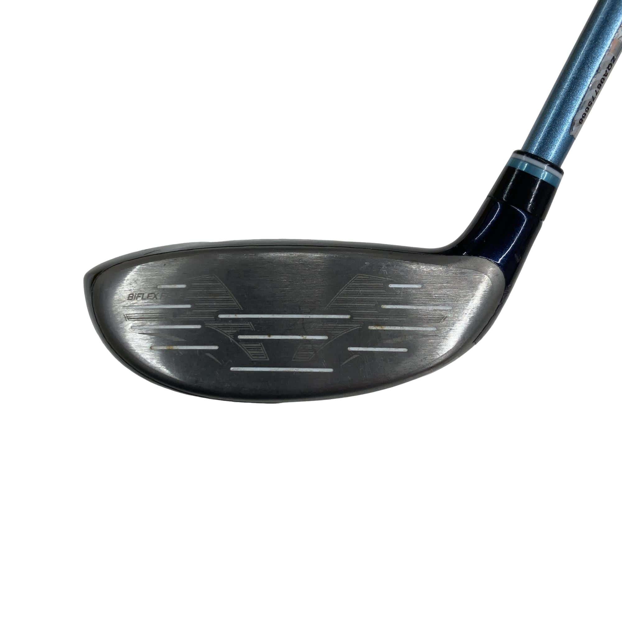 �w�w�h�n�i�Q�O�Q�S�j�@�T�v�@���f�B�[�X