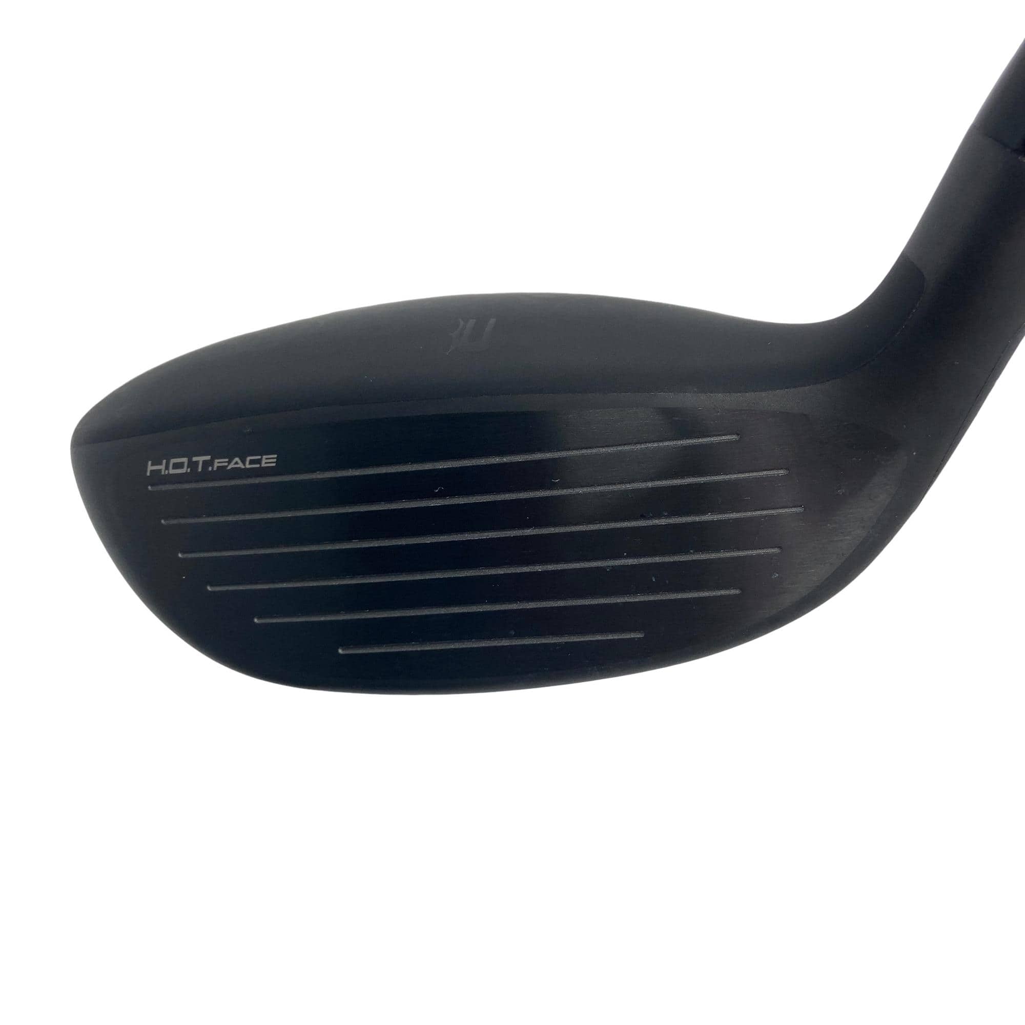 �����������@�c�`�q�j�r�o�d�d�c�@�t�S