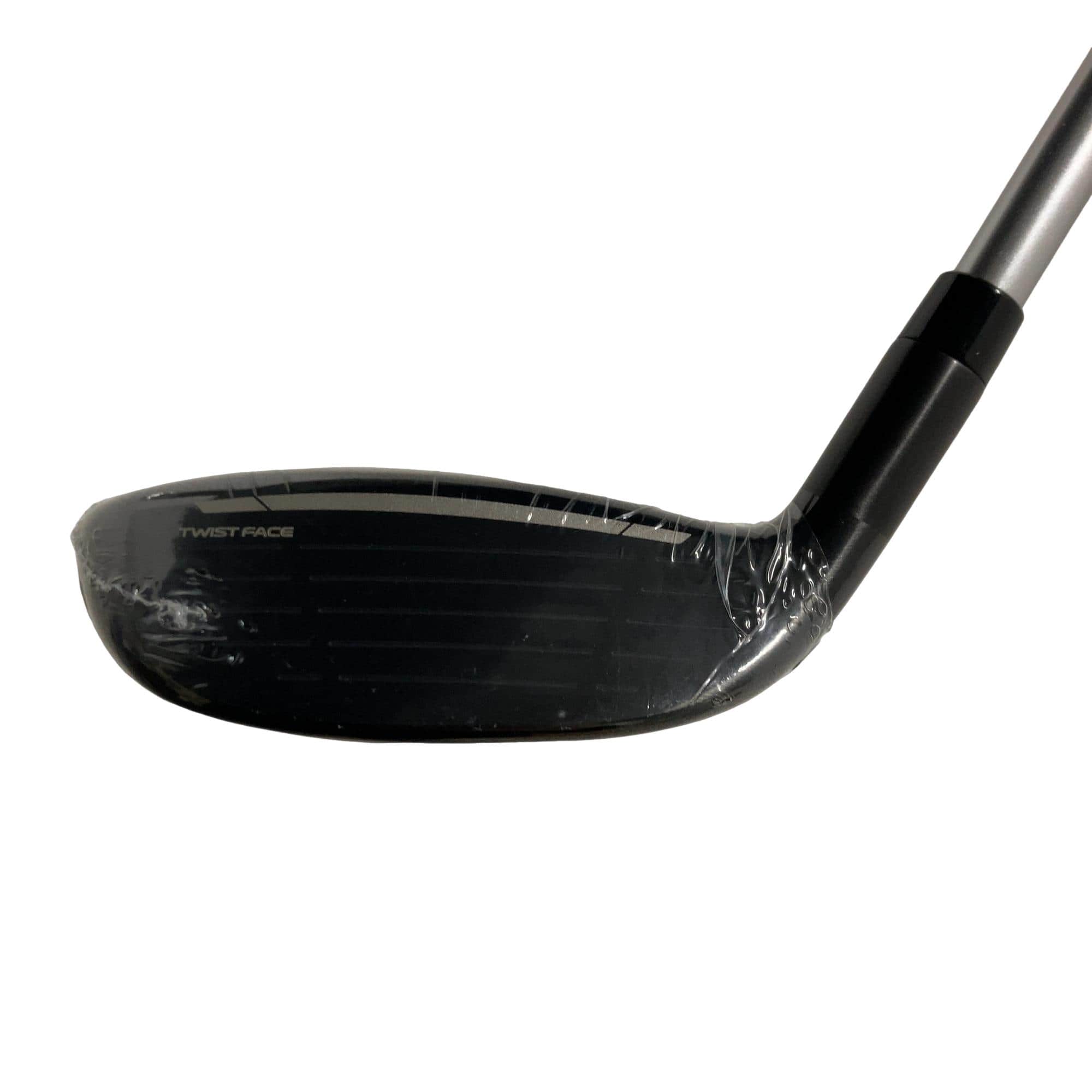 �p���P�O�@�l�`�w�@�t�T�@���f�B�[�X