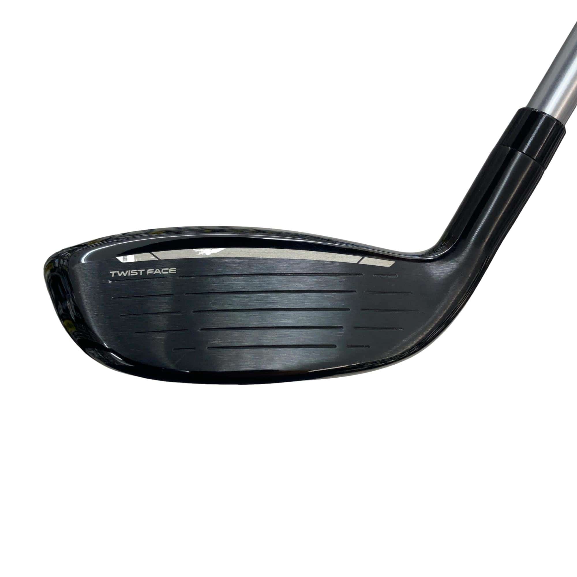 �p���P�O�@�l�`�w�@�t�U�@���f�B�[�X