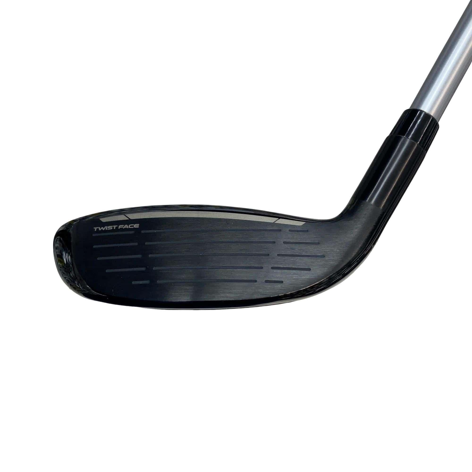 �p���P�O�@�l�`�w�@�t�S�@���f�B�[�X