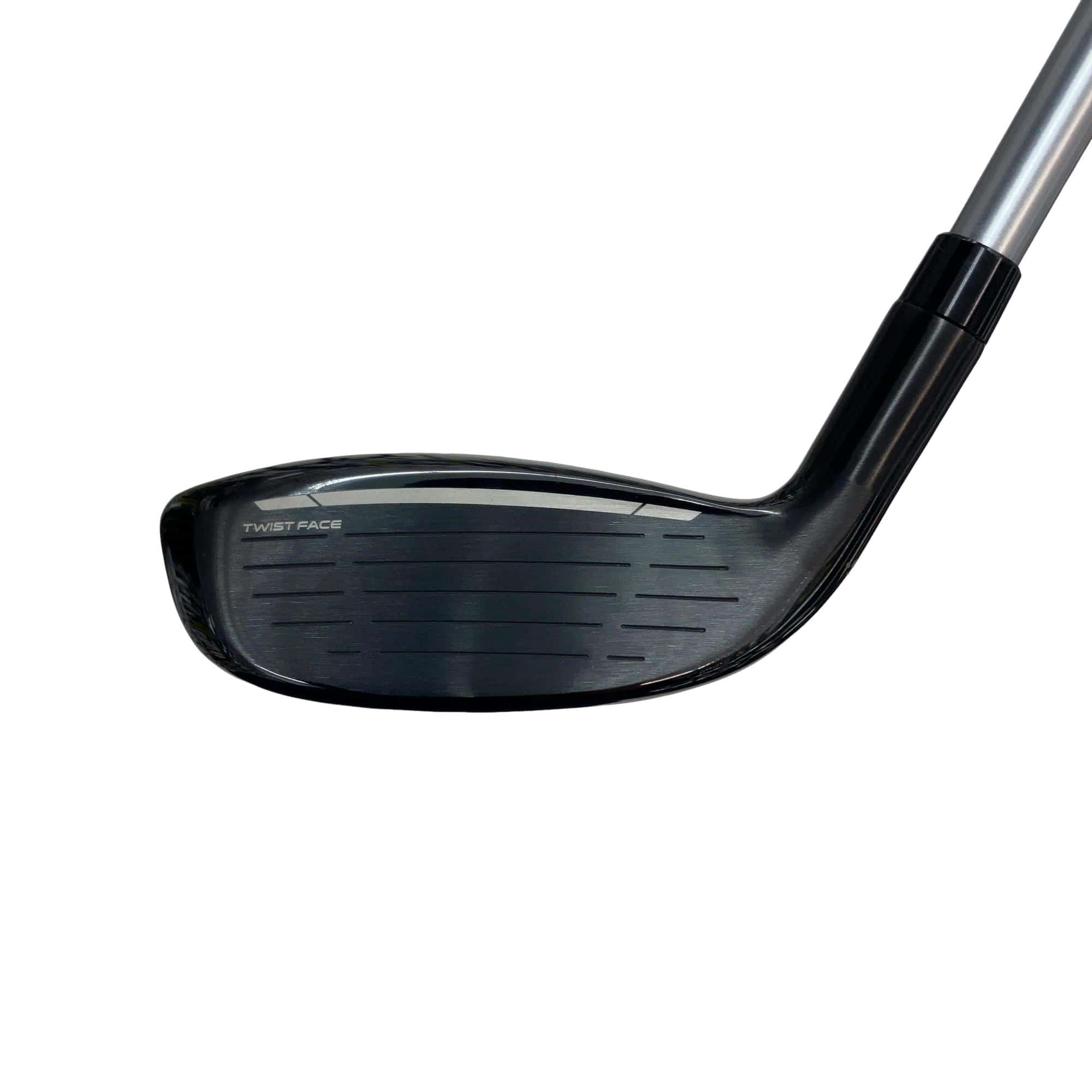 �p���P�O�@�l�`�w�@�t�T�@���f�B�[�X