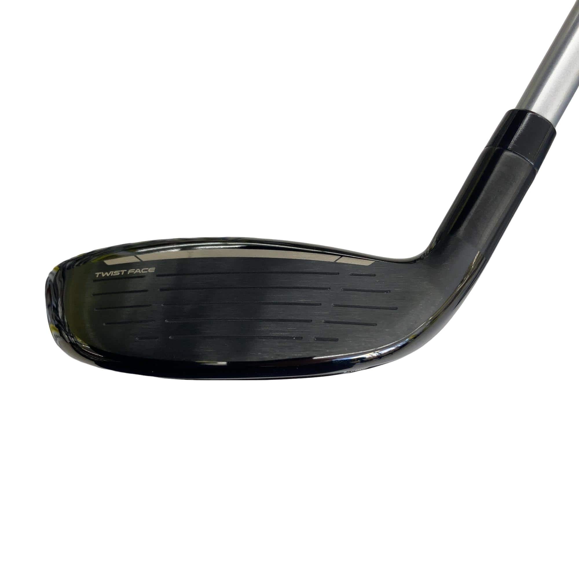 �p���P�O�@�l�`�w�@�t�U�@���f�B�[�X