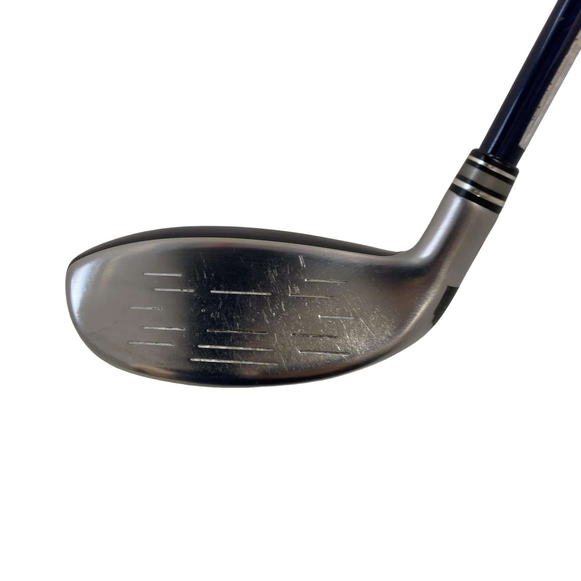 �w�w�h�n�i�Q�O�P�W�j�@�g�T