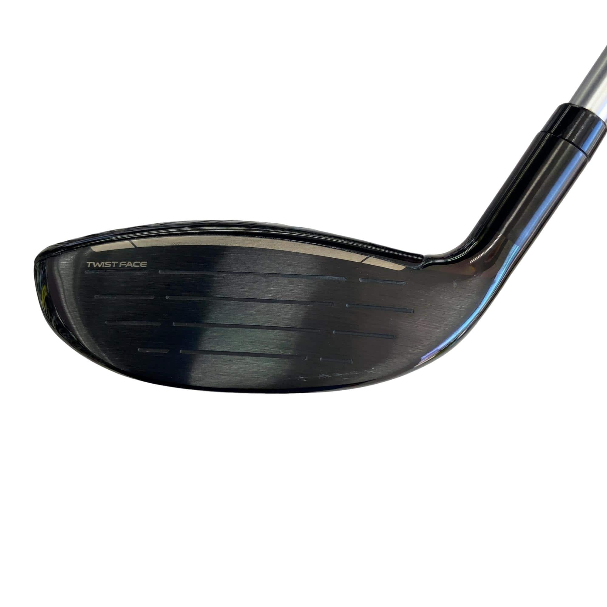 �p���P�O�@�l�`�w�@�T�v�@���f�B�[�X