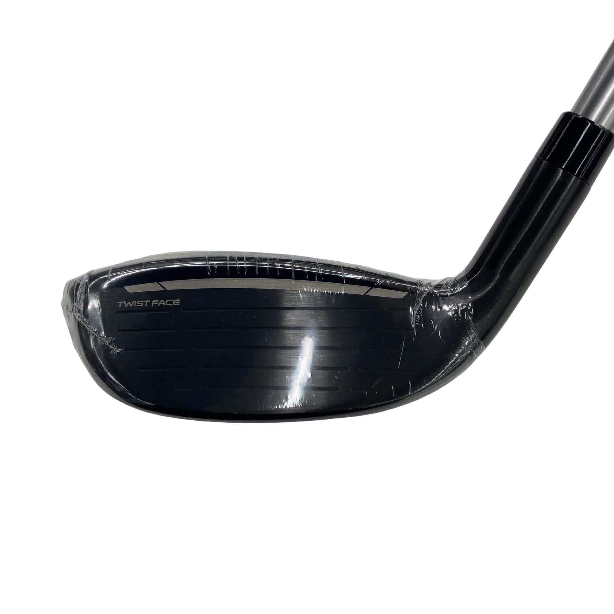 �p���P�O�@�l�`�w�@�t�T�@���f�B�[�X