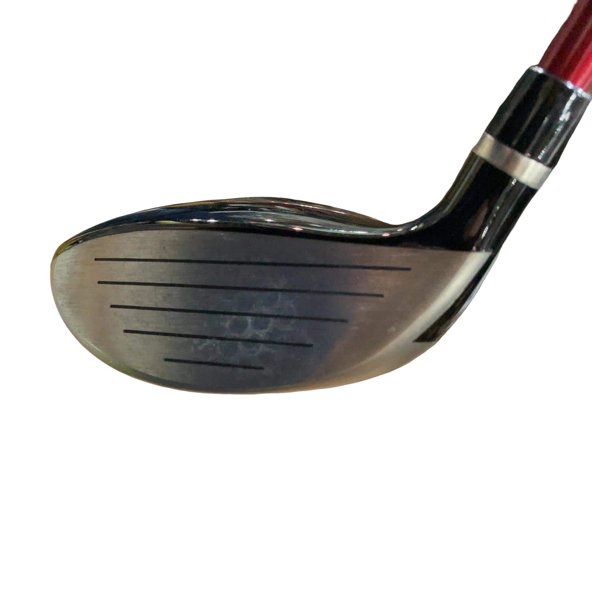 �q�l�w�@�u�c�@�T�v