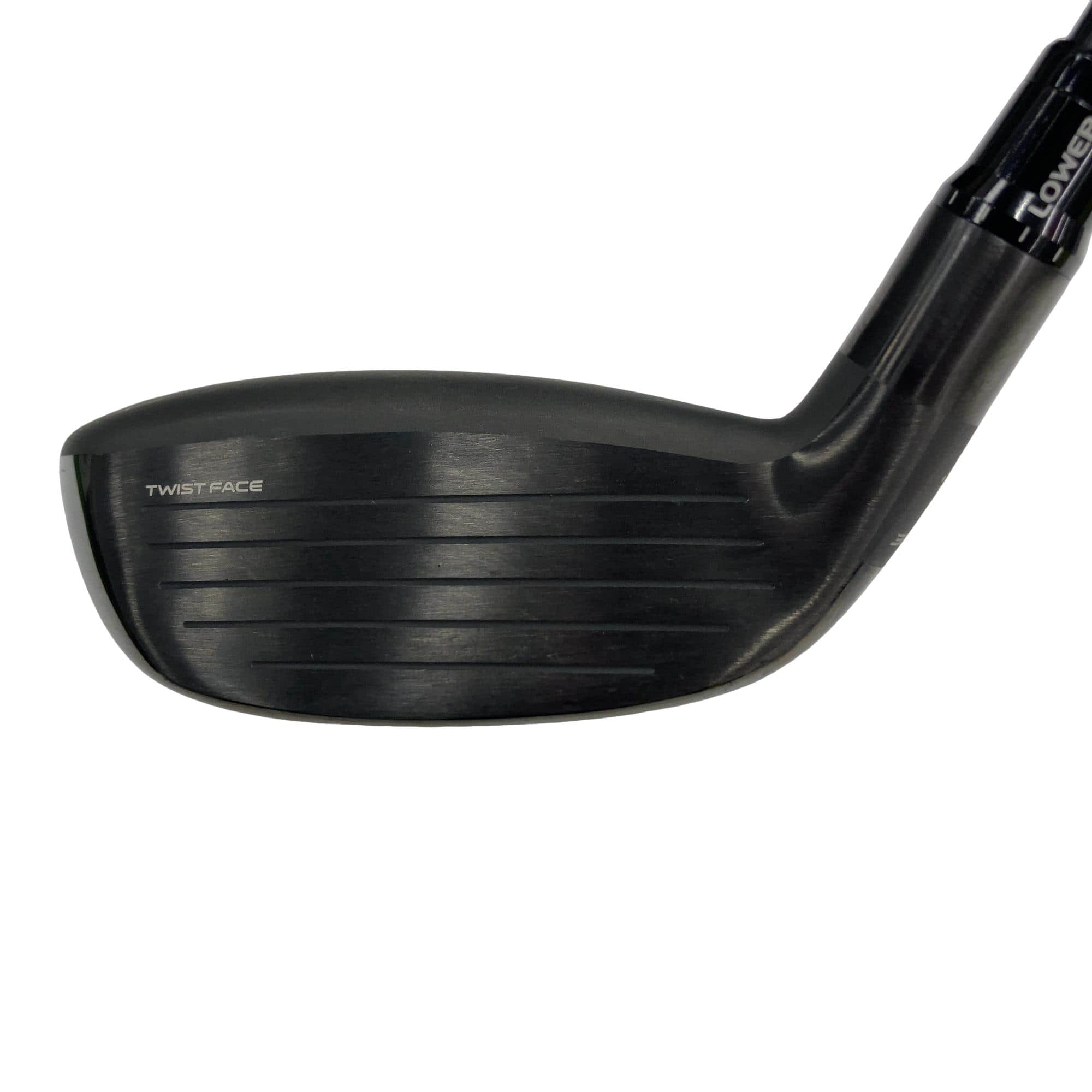 �p���R�T�@�t�S