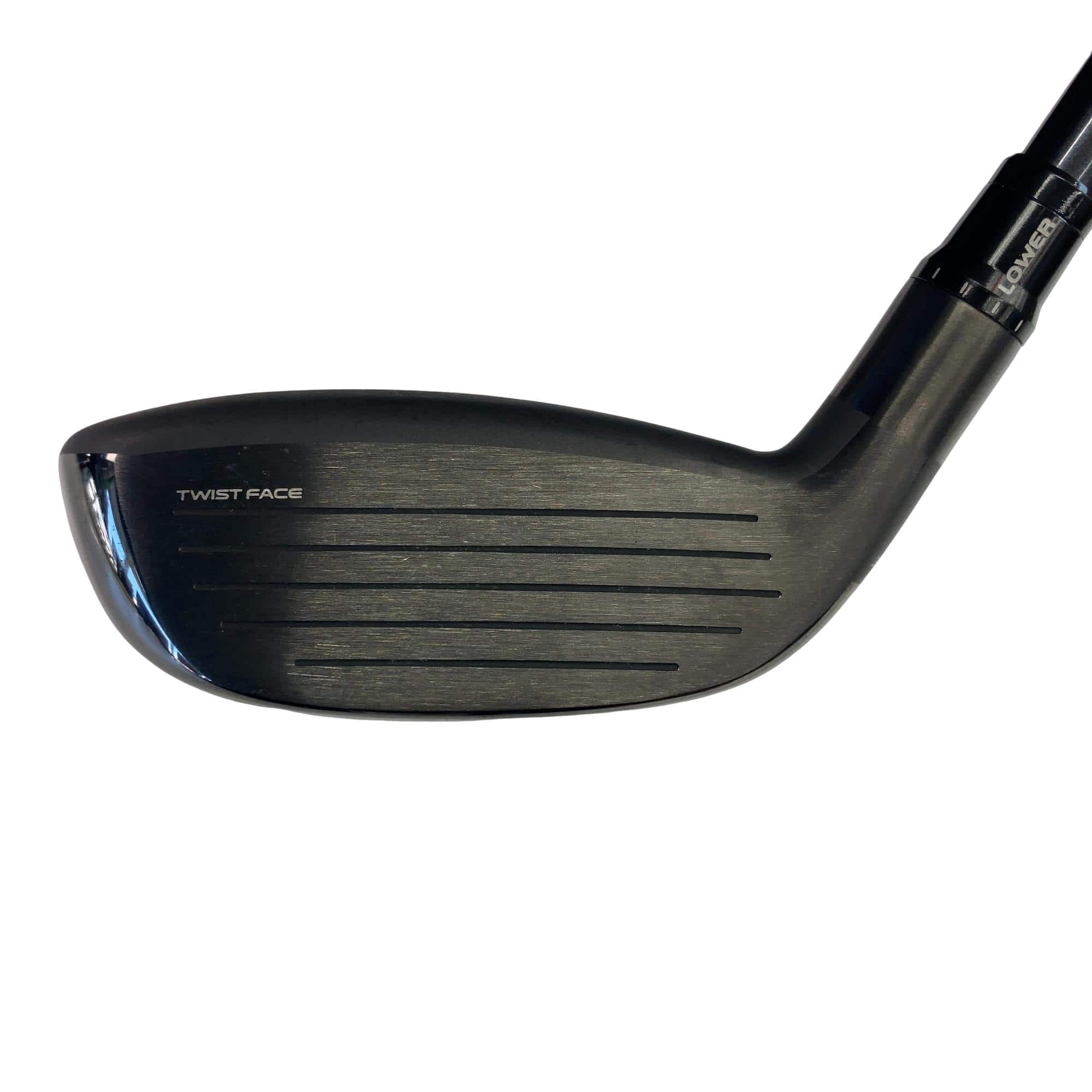 �p���R�T�@�t�S