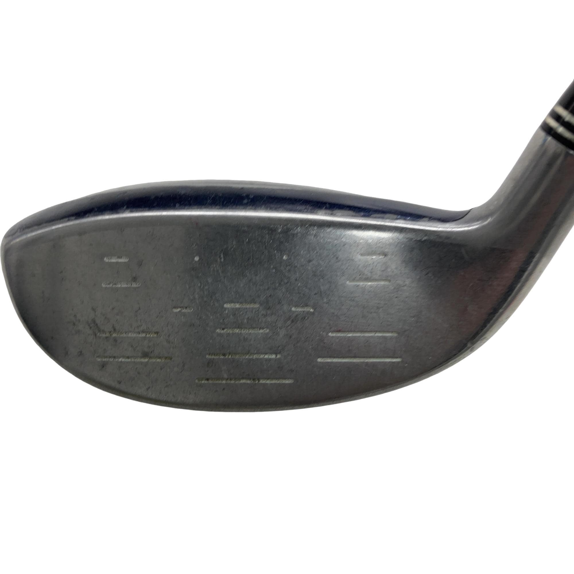 �w�w�h�n�i�Q�O�P�U�j�@�t�U�@���f�B�[�X