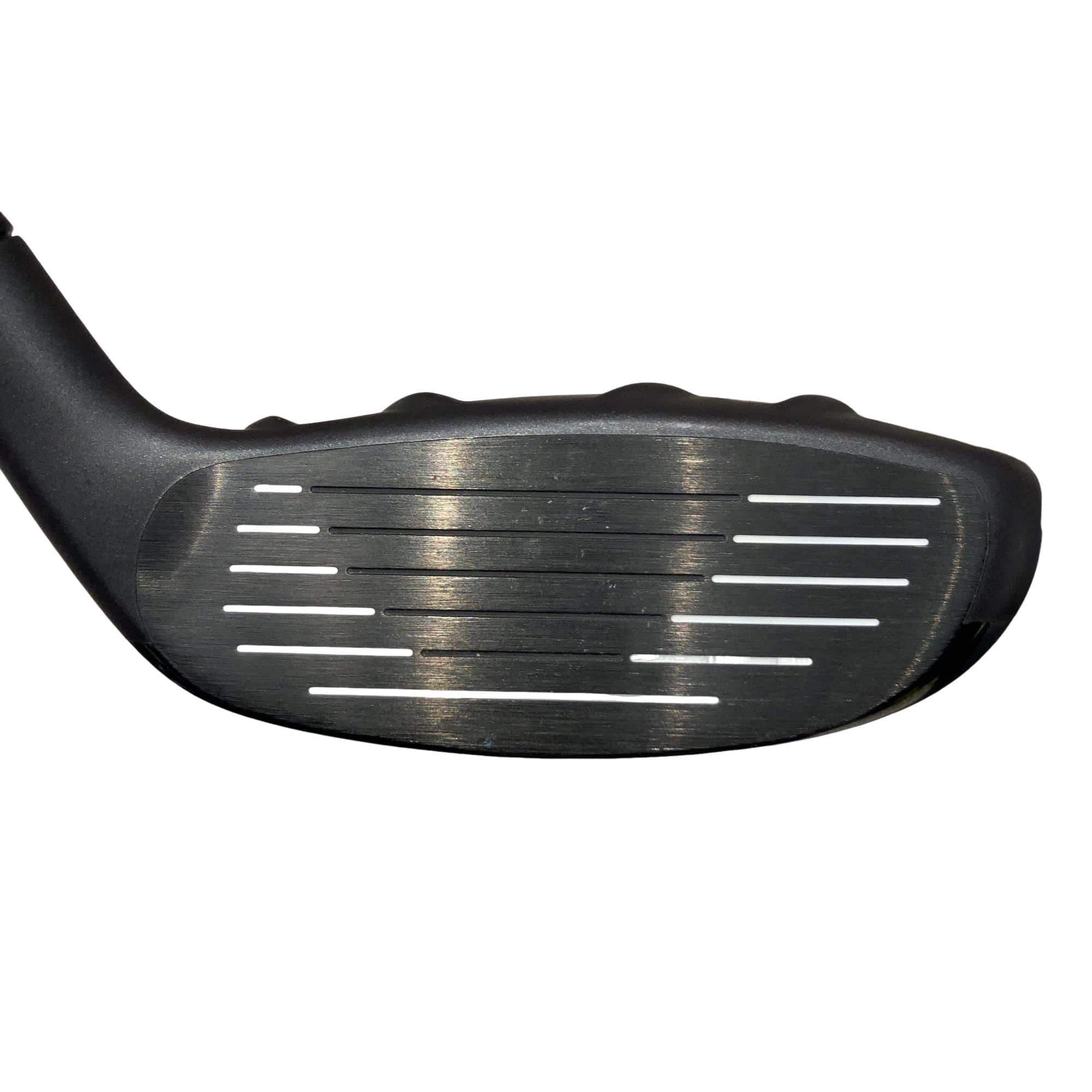 �f�S�P�O�@�t�S�@���t�e�B