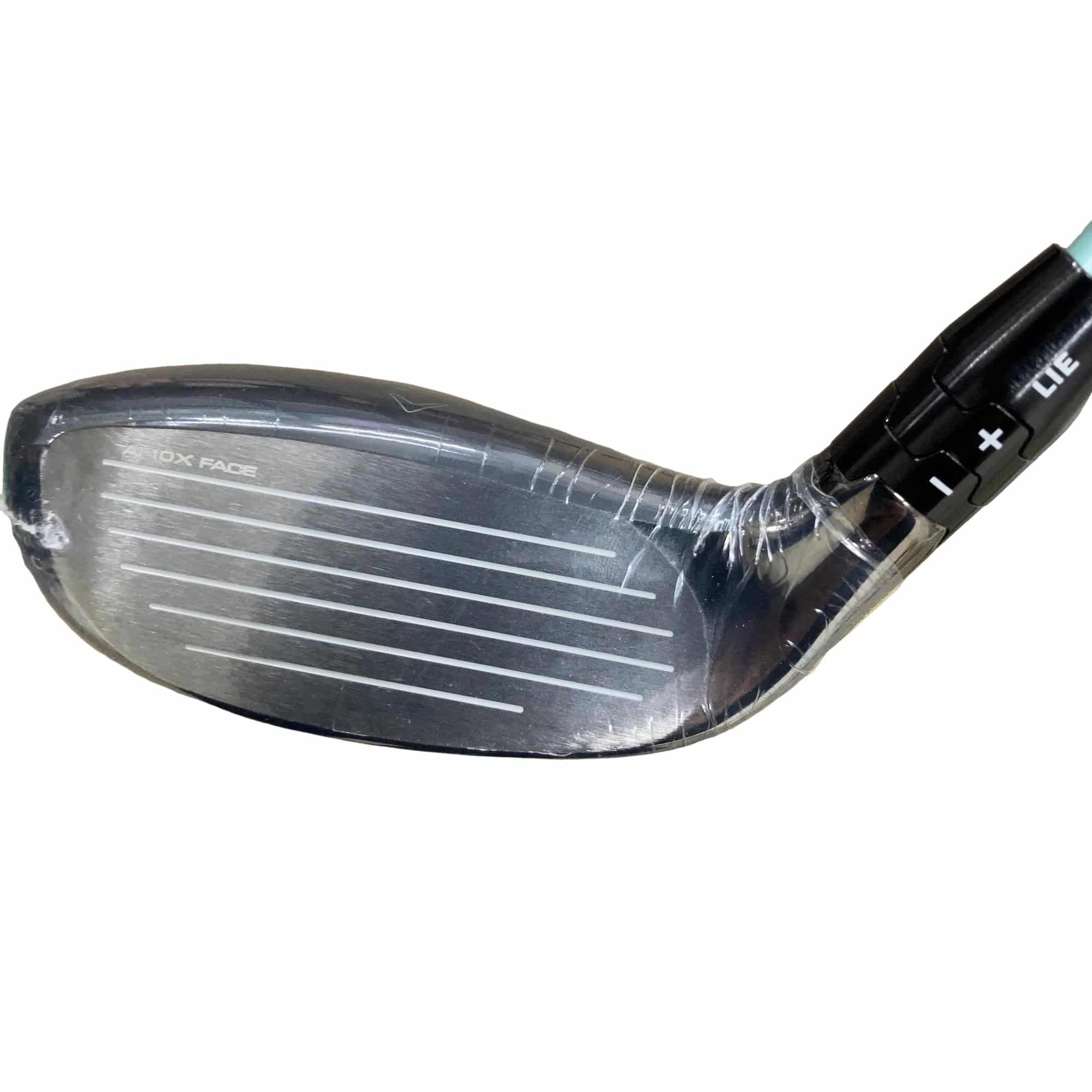 �d�k�x�s�d�@�w�@�t�V�@���f�B�[�X