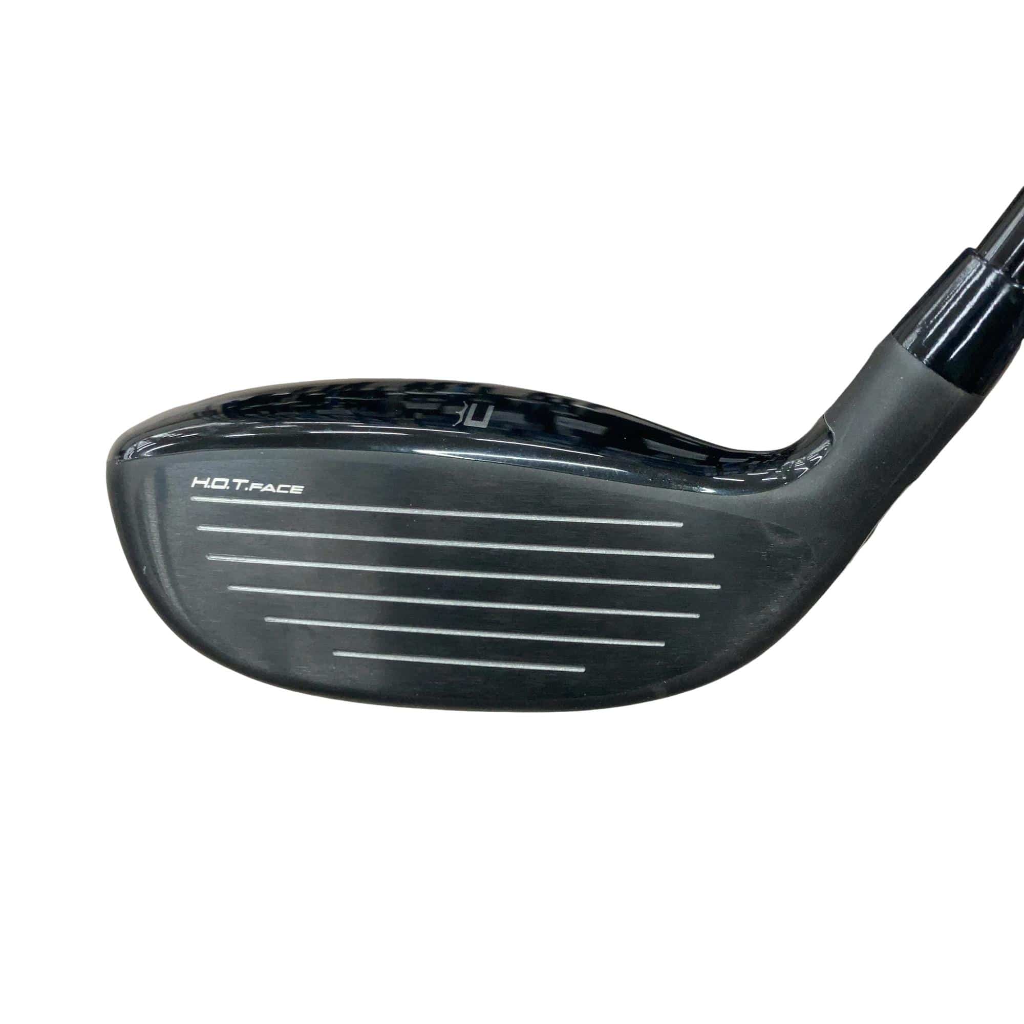 �����������@�`�d�q�n�i�d�s�@�t�S