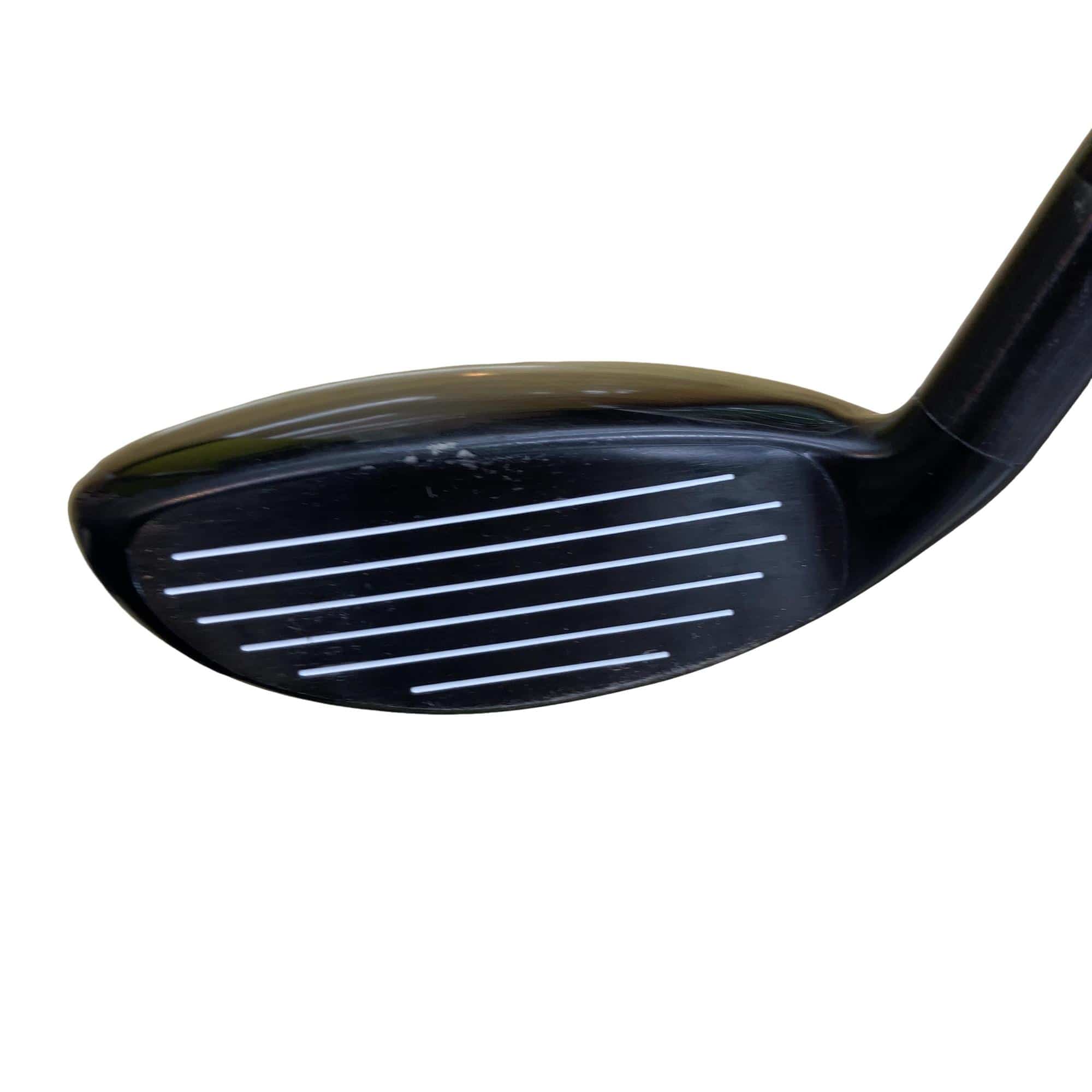 �w�@�g�n�s�@�t�R