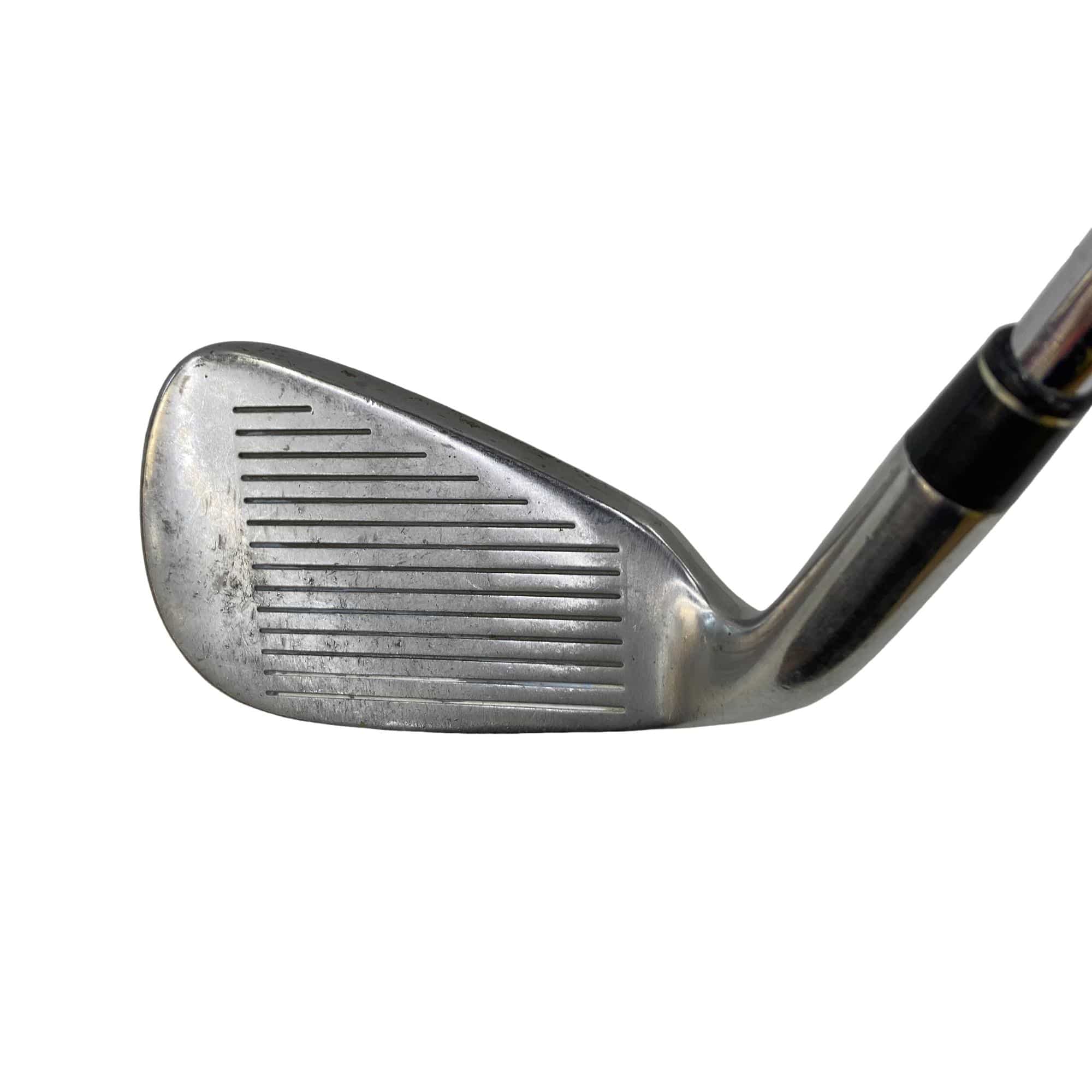 ���T�@�w�k�@�o�k�t�r�@�U�r�i���{���F�U�{�Z�b�g�j