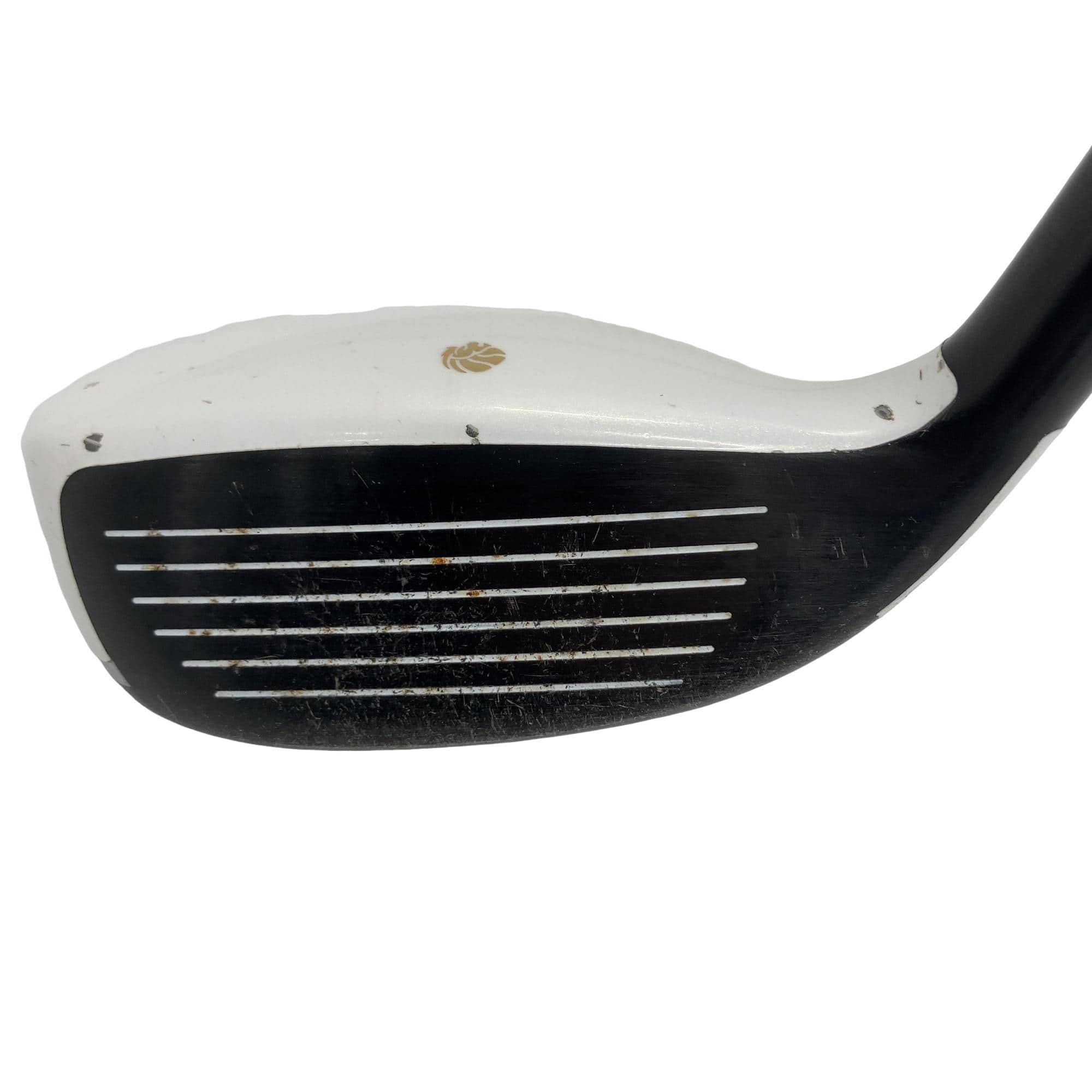 �f�k�n�h�q�d�@�e�i�Q�O�P�U�j�@�t�S