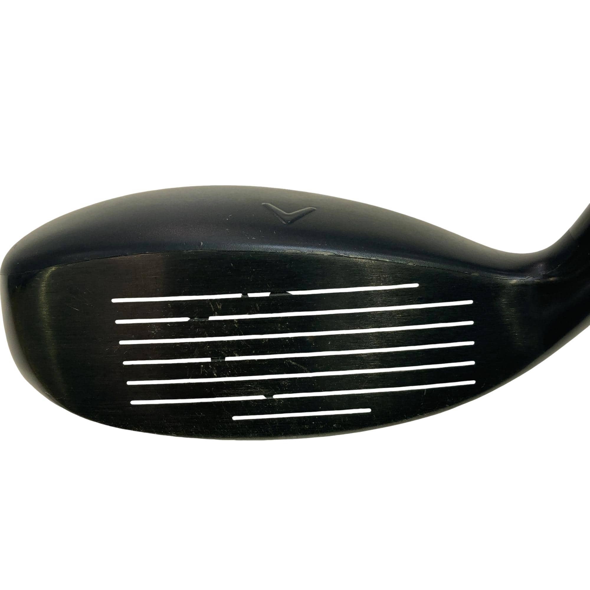 �w�q�@�P�U�@�n�r�@�t�R