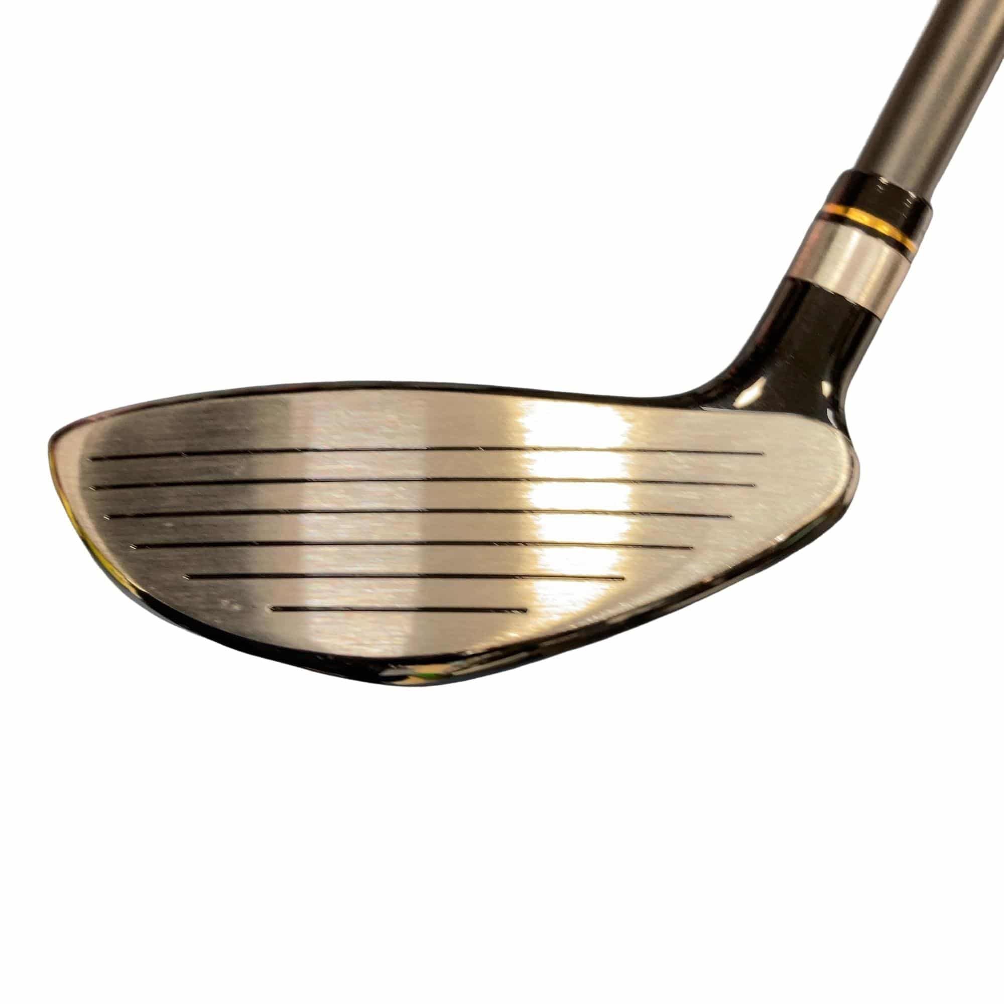 �j�Q�j�@���������O�X���[�e�B���e�B�@�t�T