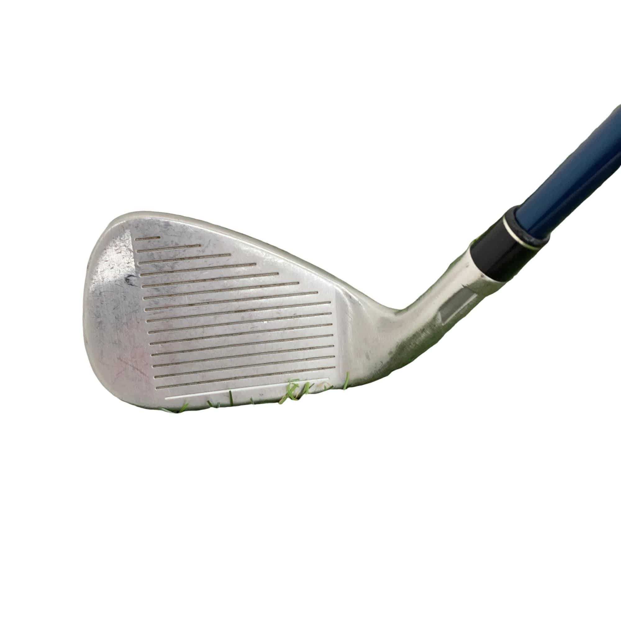 �r�h�l�Q�@�l�`�w�@�@�T�r�i���{���F�T�{�Z�b�g�j