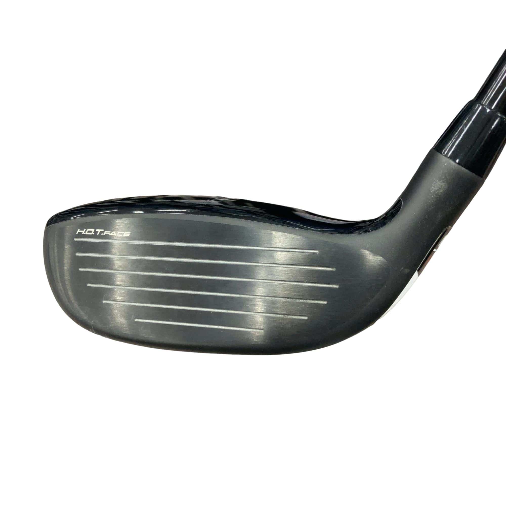 �����������@�`�d�q�n�i�d�s�@�t�R