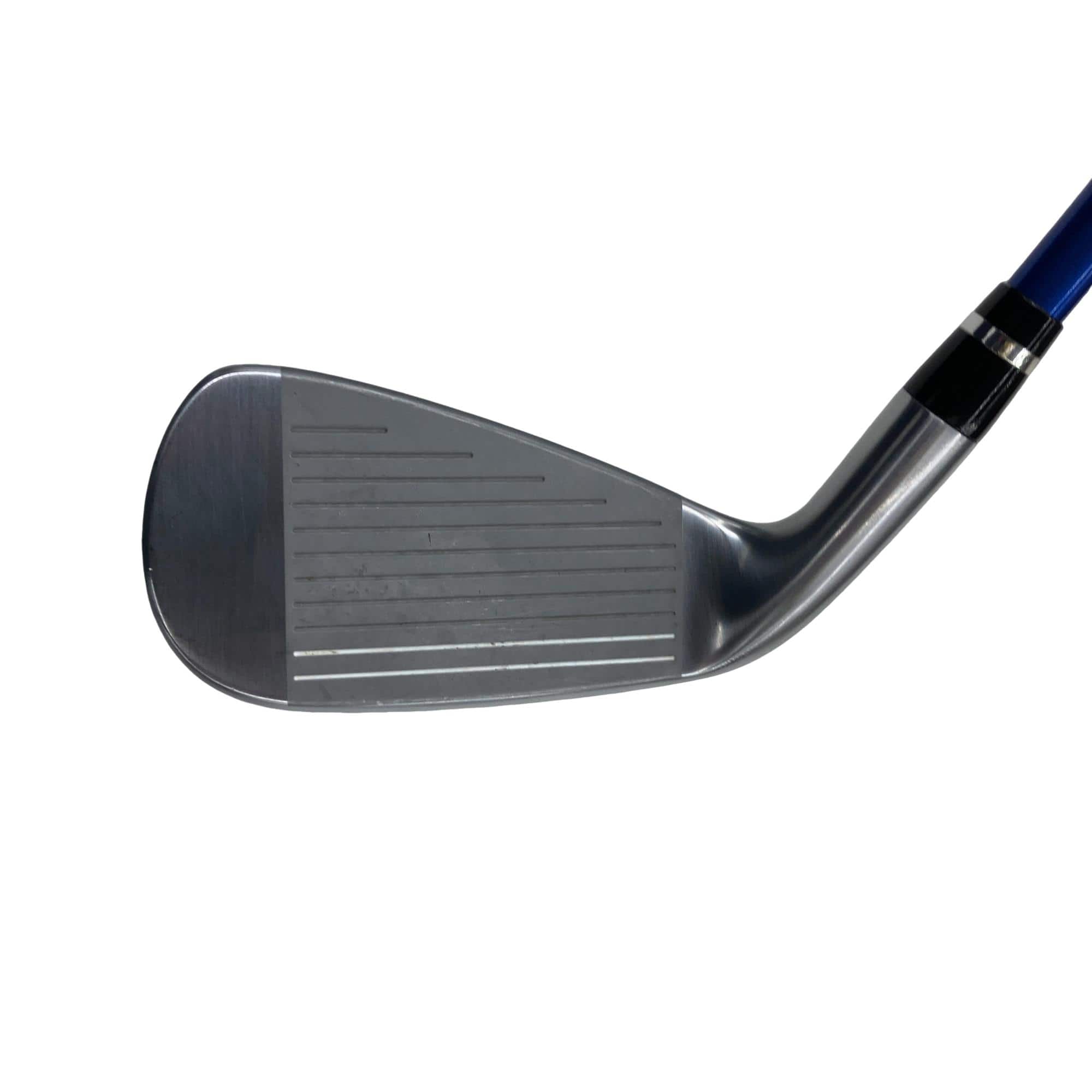 �������������@�t�c�{�Q�@�X�r�i���{���F�W�{�Z�b�g�j