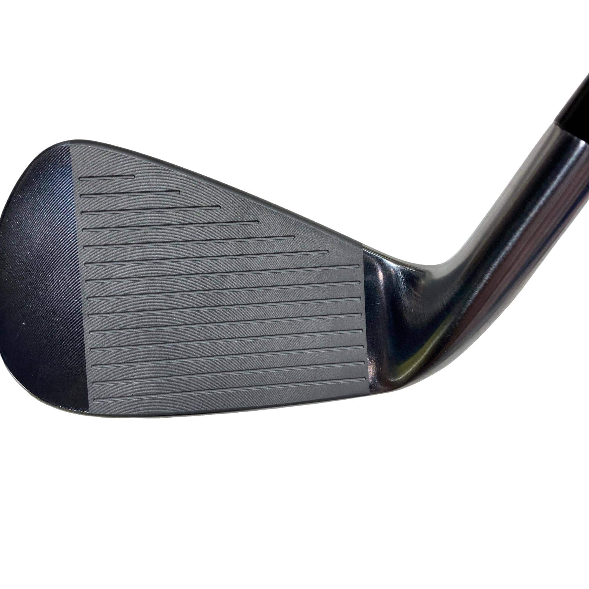 �s�����������@�l�������@�o�E�W�b�a�i�Q�O�Q�T�j�@�T�r�i���{���F�T�{�Z�b�g�j