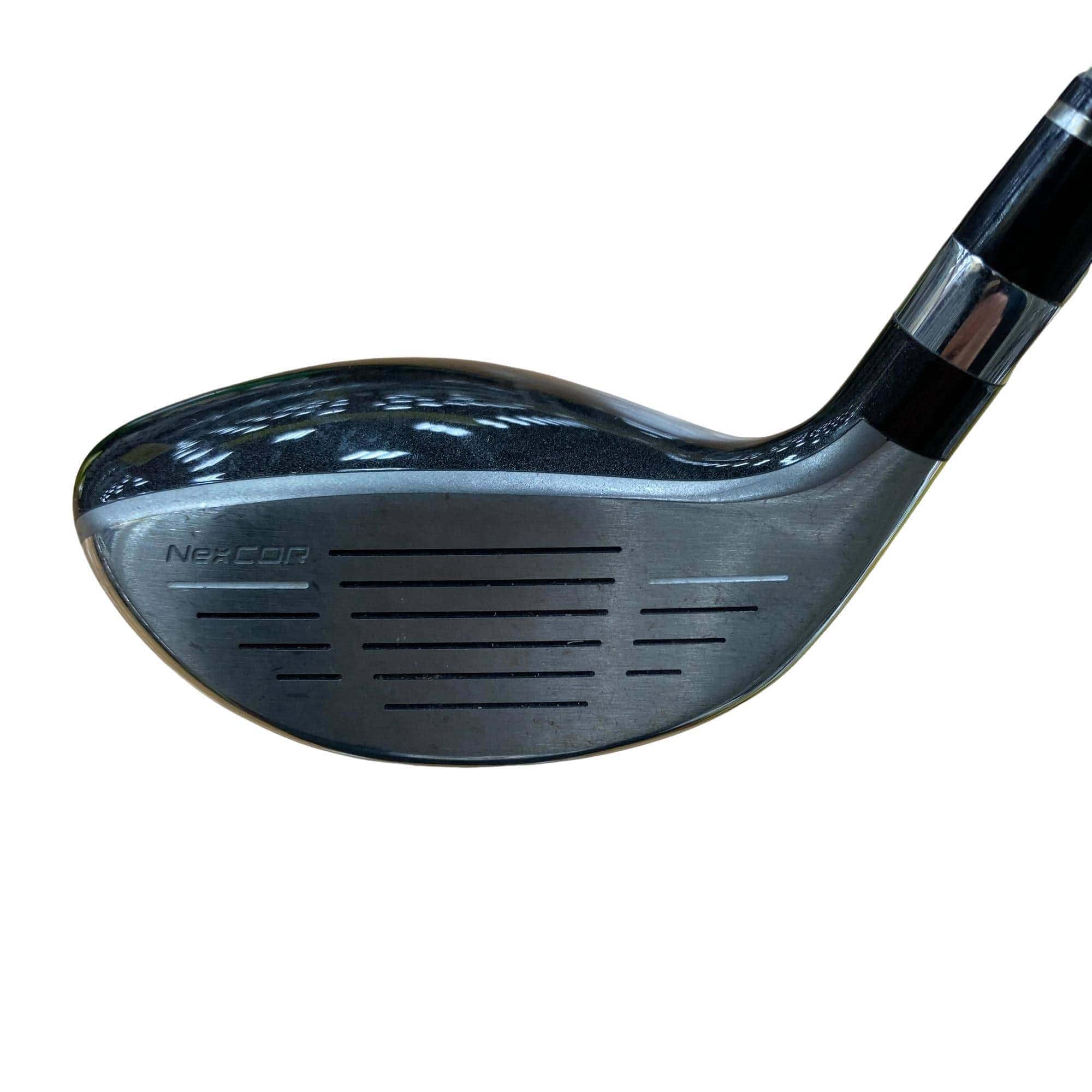 �u�q�Q�r�@���[�e�B���e�B�@�t�S�@�t�r�`