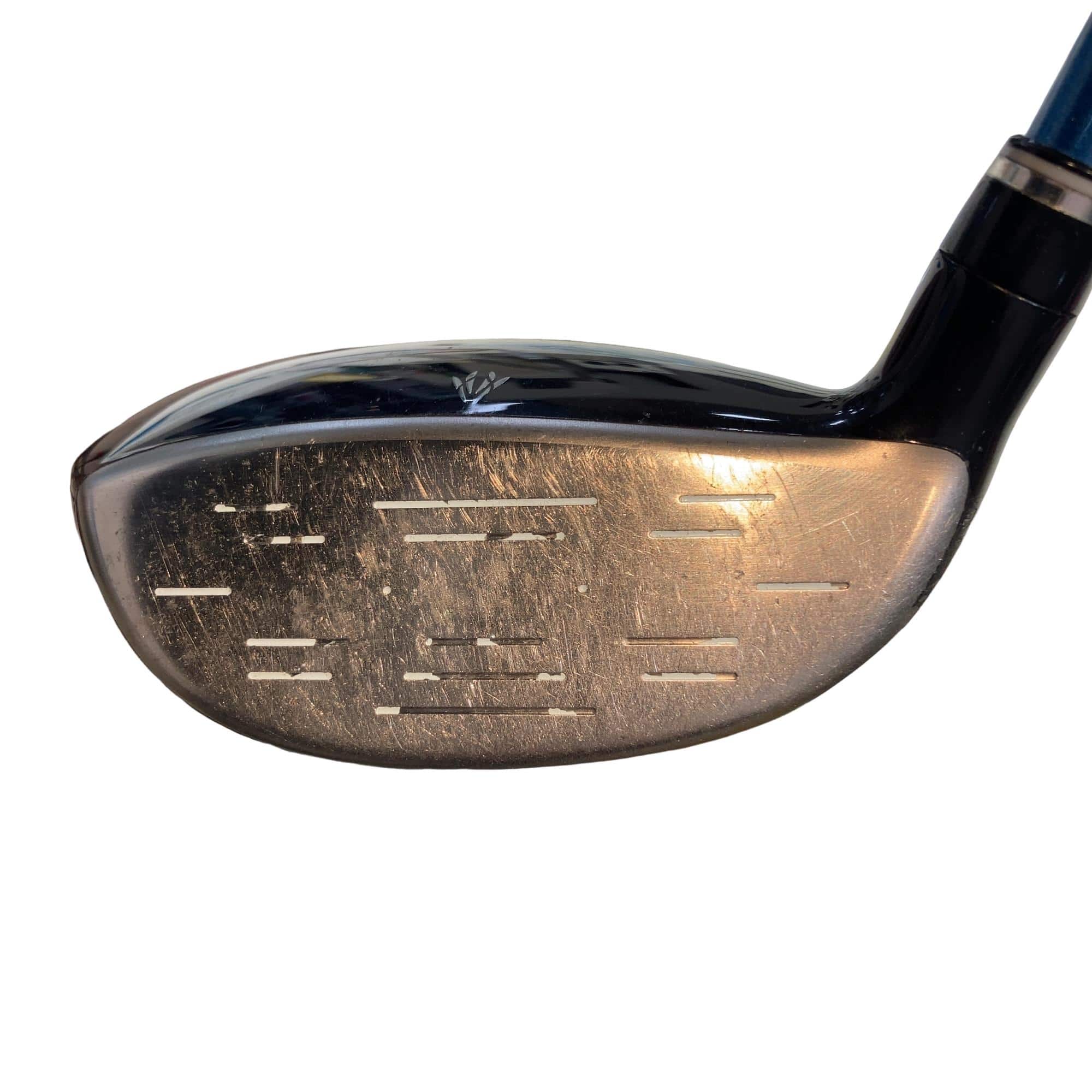 �w�w�h�n�i�Q�O�P�W�j�@�X�v�@���f�B�[�X