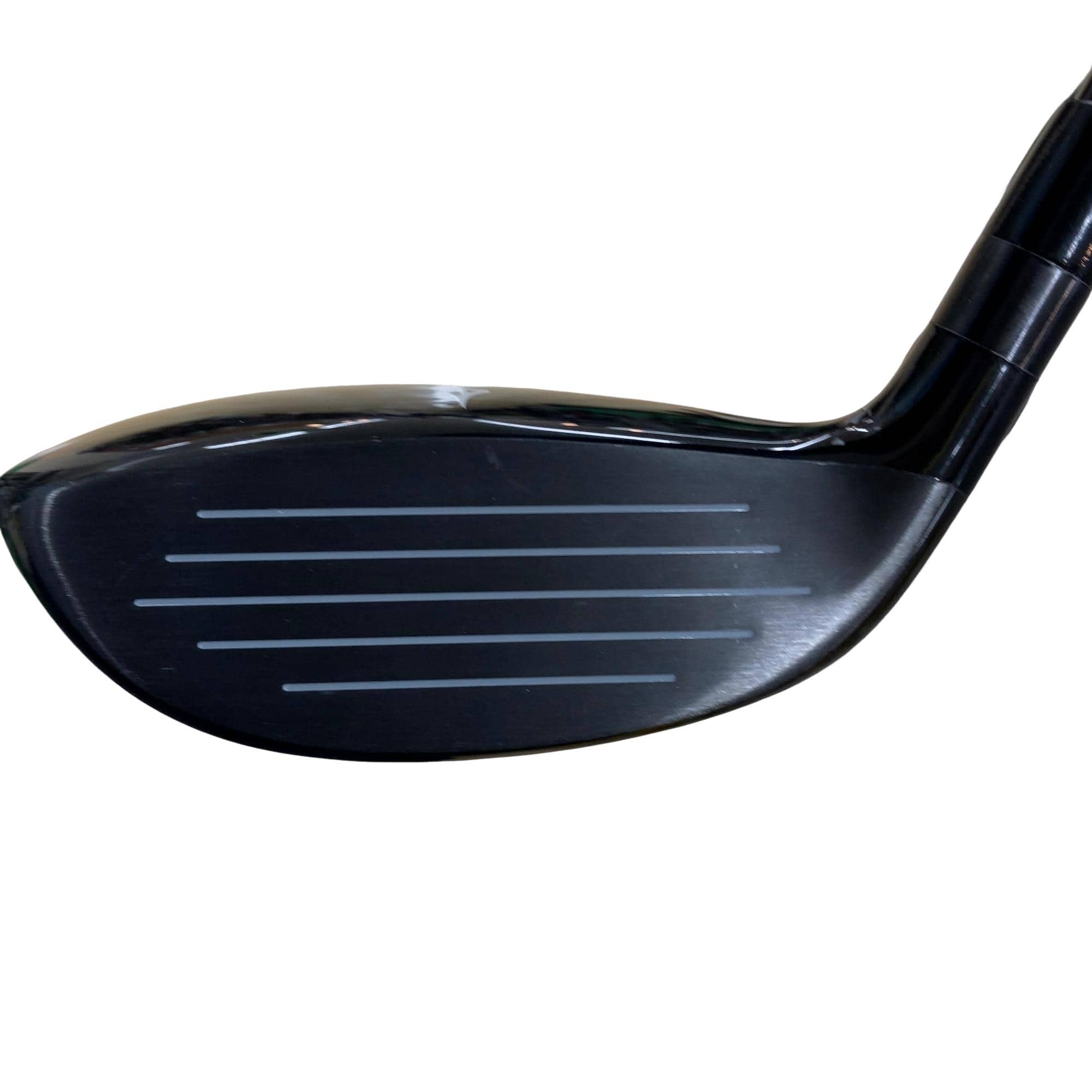 �l�����������@�r�s�|�w�@�Q�Q�O�@�t�T