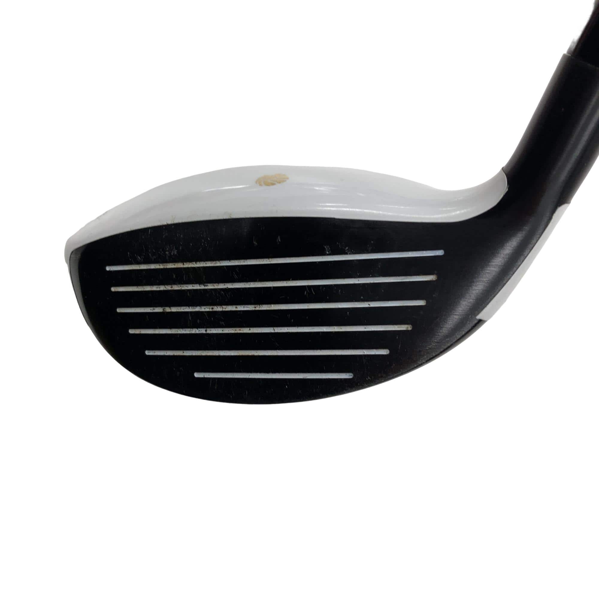 �f�k�n�h�q�d�@�e�i�Q�O�P�U�j�@�T�v