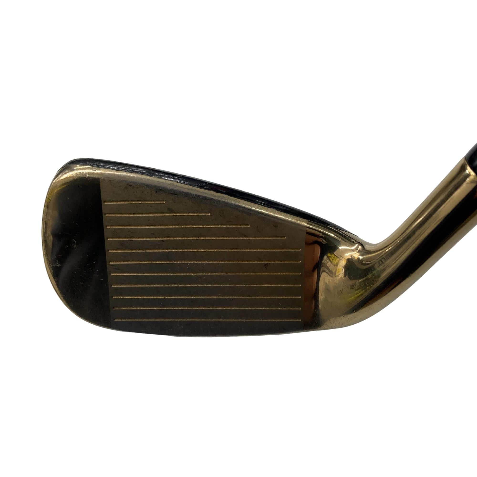 �r�v�n�q�c�@�r�m�h�o�d�q�@���@�X�r�i���{���F�W�{�Z�b�g�j