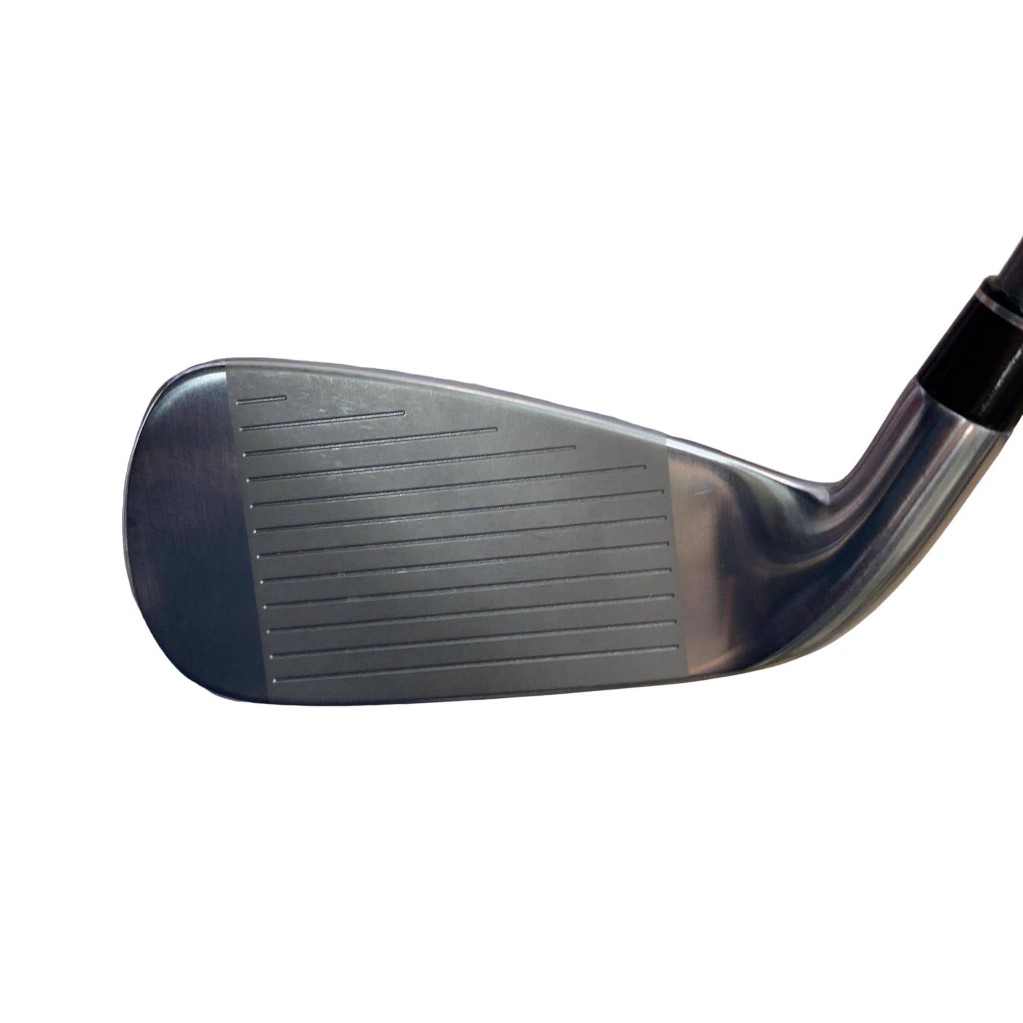 �������@���{�i�Q�O�P�X�j�@�t�T