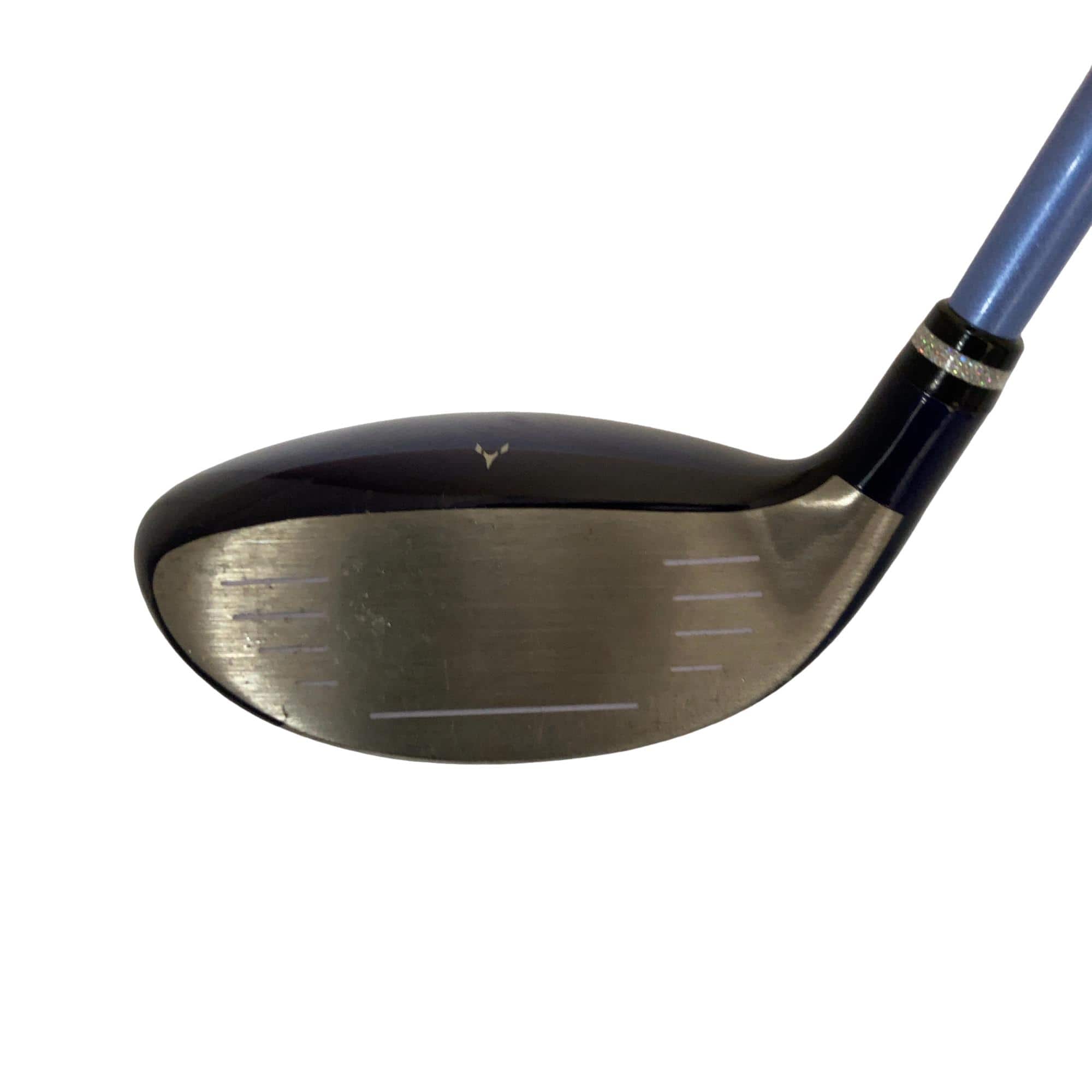 �������������@�t�c�{�Q�@�t�T�@���f�B�[�X