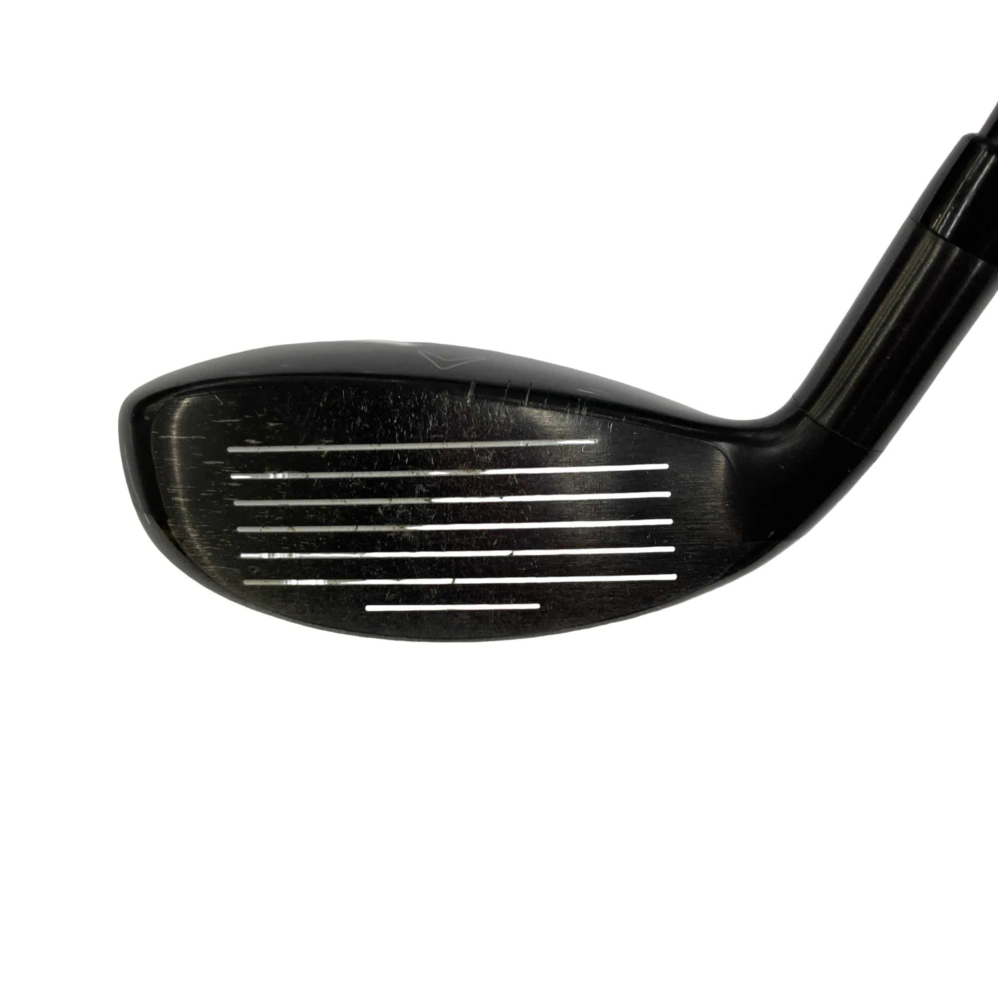 �w�Q�@�g�n�s�@�t�R