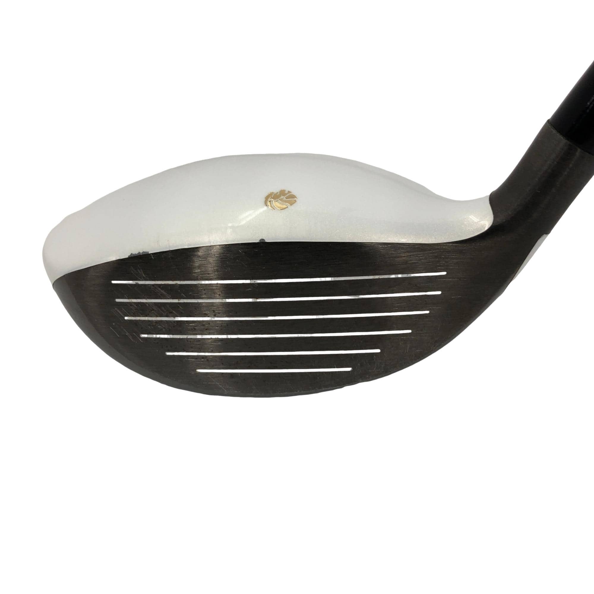 �f�k�n�h�q�d�@�f�@�R�v