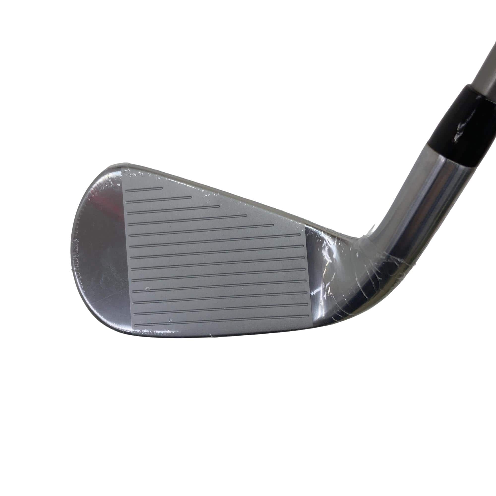 �s���������������@�s�R�O�O�i�Q�O�Q�P�j�@�T�r�i���{���F�T�{�Z�b�g�j