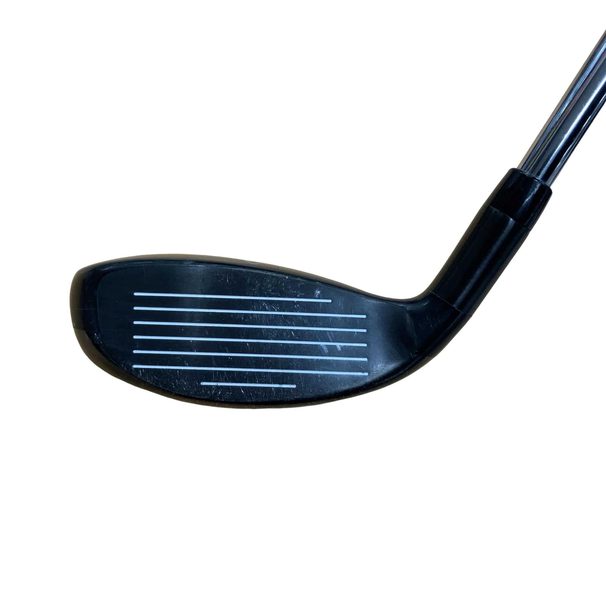 �w�Q�@�g�n�s�@�t�R