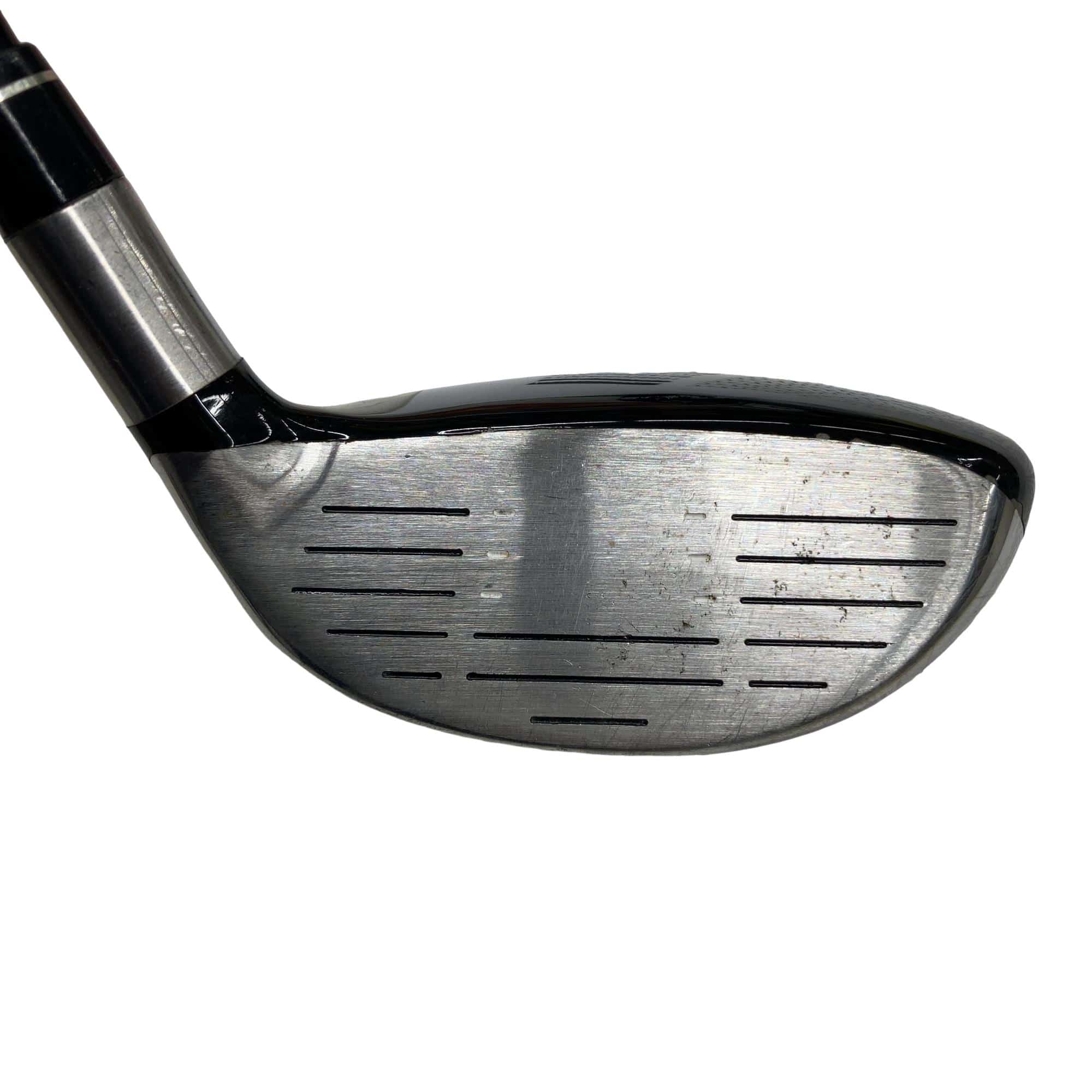 �e�s�@���[�e�B���e�B�@�c�q�`�v�@�S�g�@���t�e�B