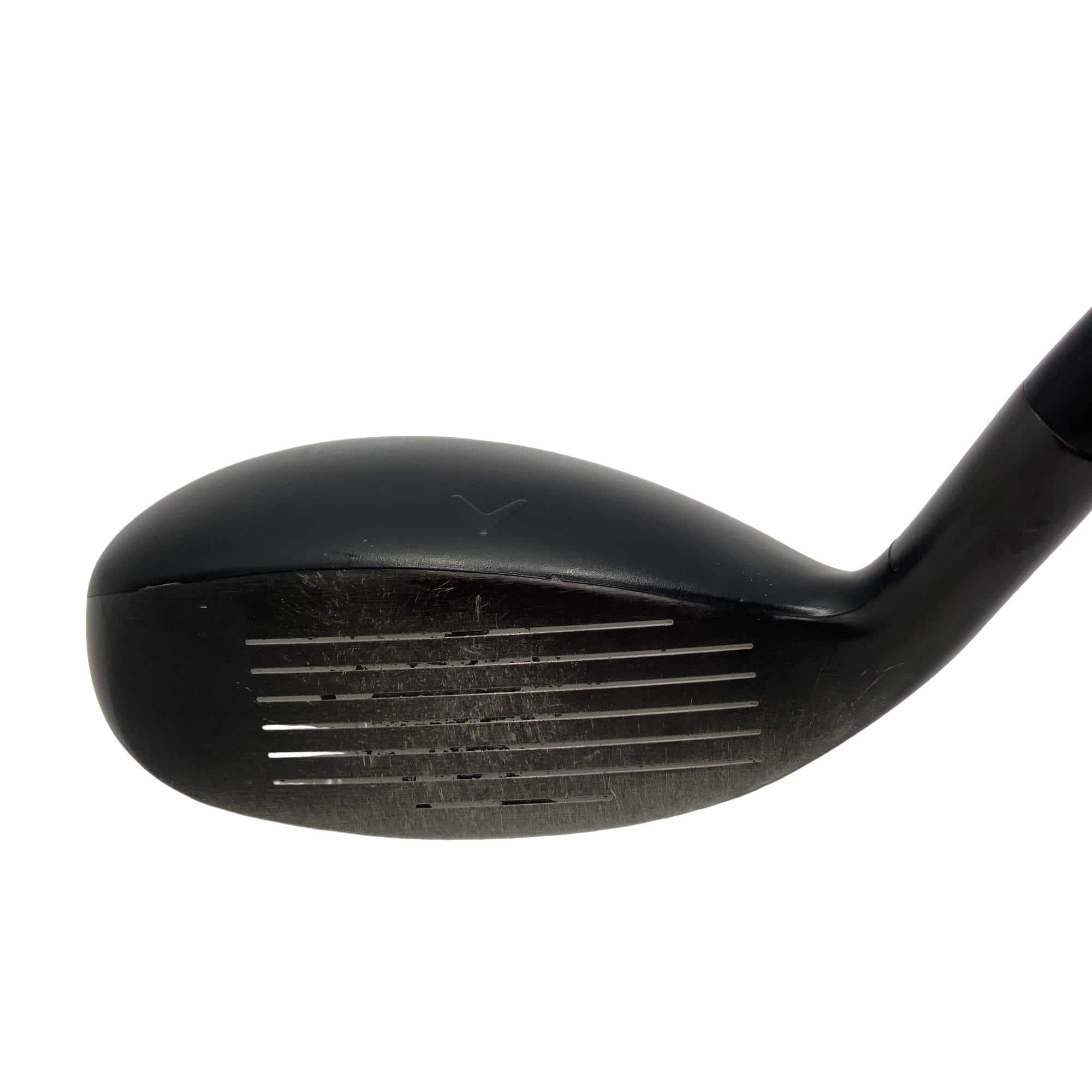 �w�q�@�P�U�@�n�r�@�t�T