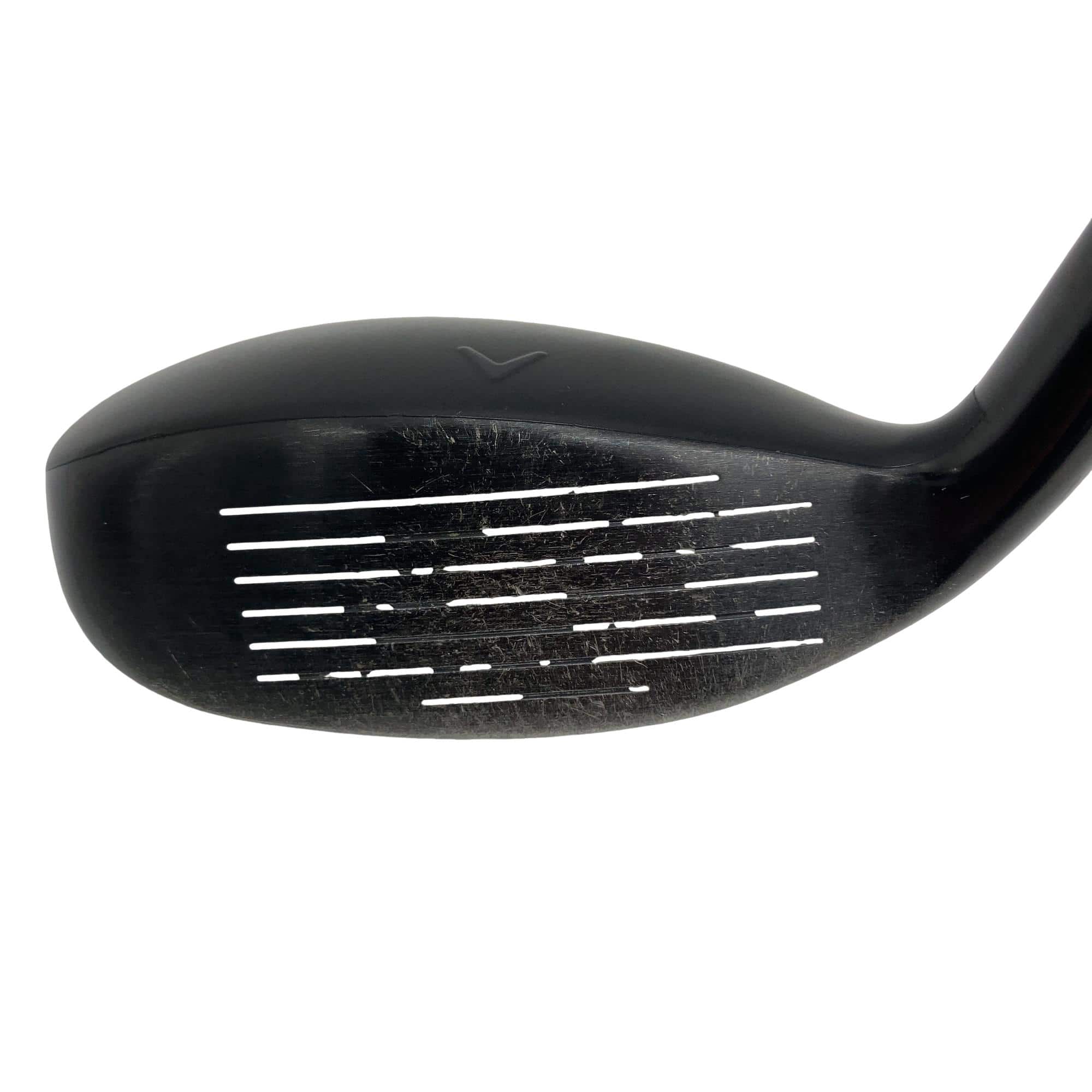 �w�q�@�P�U�@�n�r�@�t�R