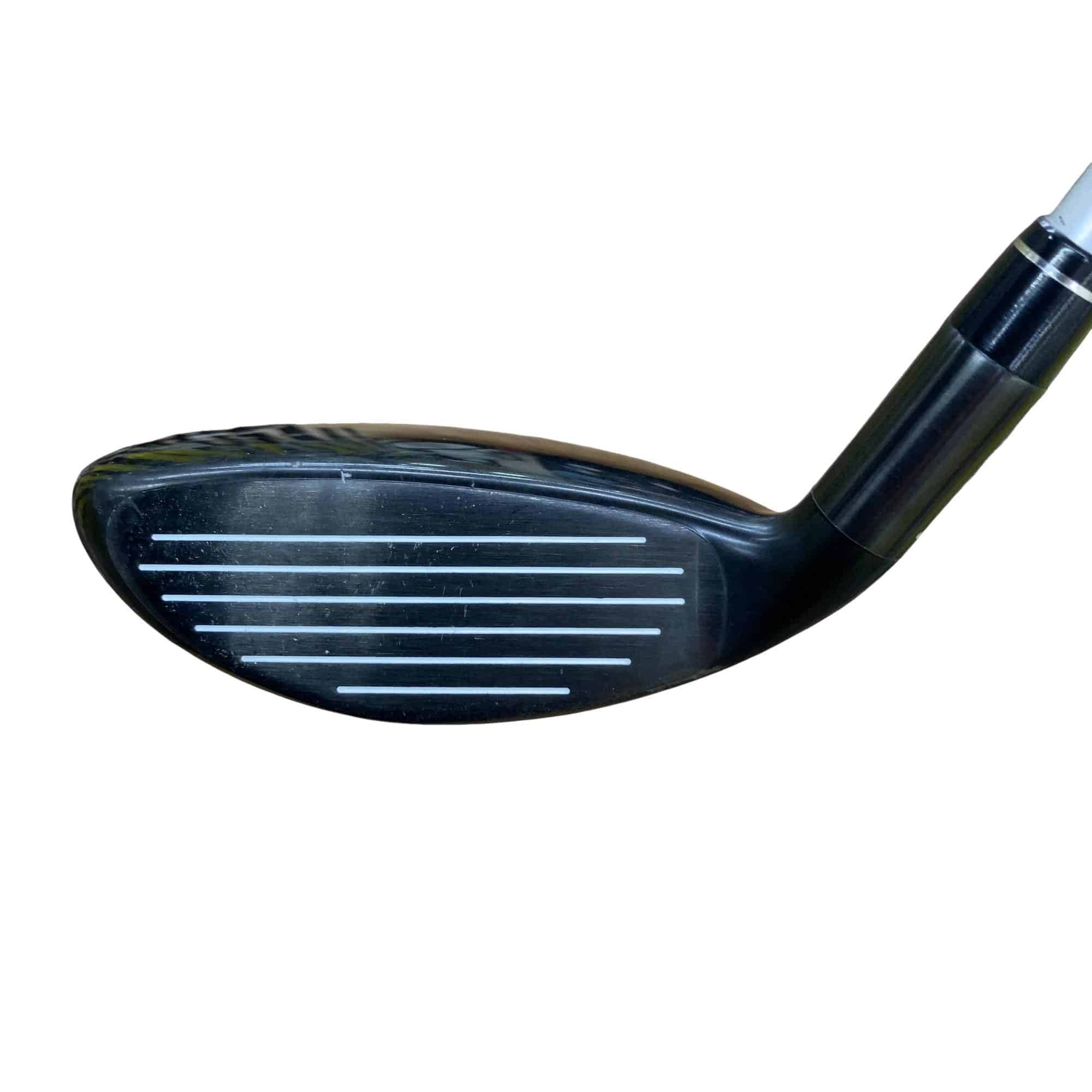 �w�@�g�n�s�@�t�S