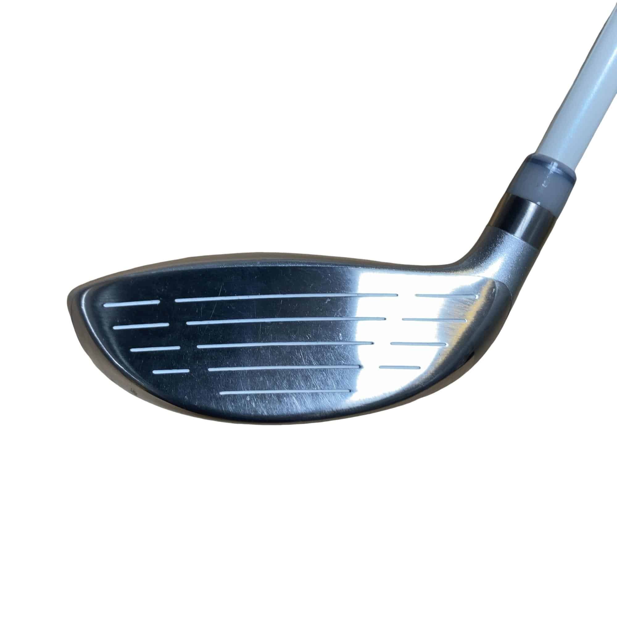 �o�n�s�d�m�b�h�`�@�m�����������@�T�v�@���f�B�[�X