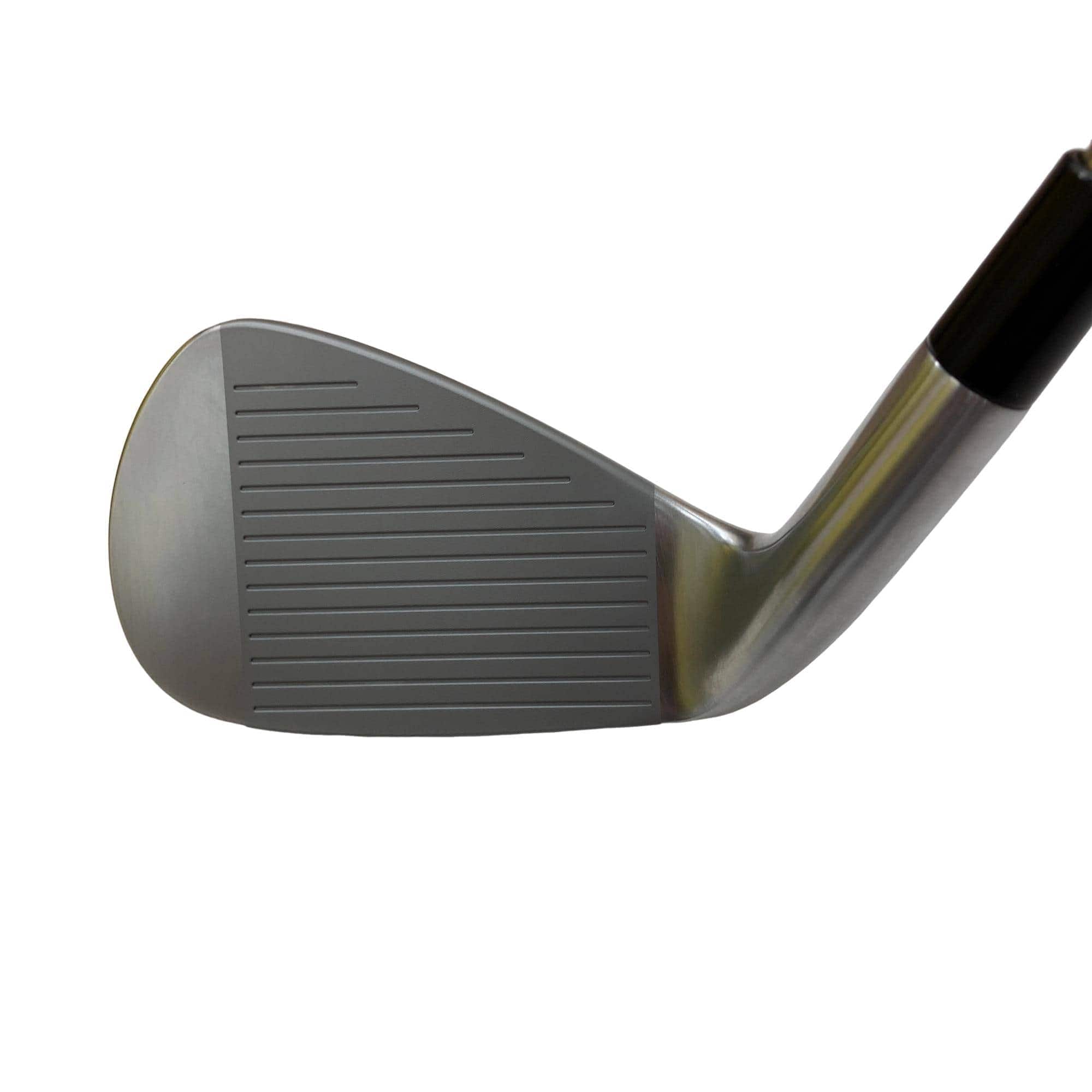 �s�����������@�l�������@�o�E�W�b�a�i�Q�O�Q�T�j�@�T�r�i���{���F�T�{�Z�b�g�j