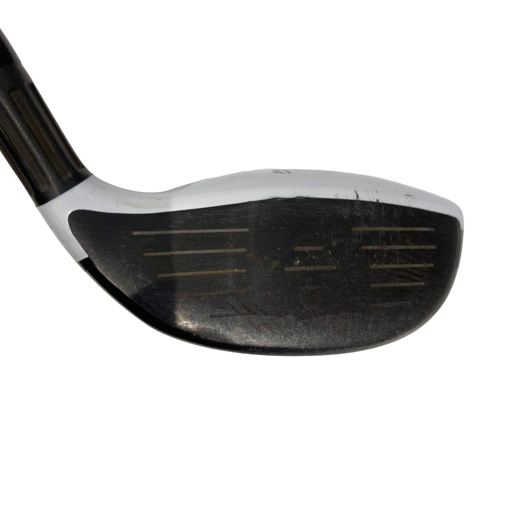 �l�Q�@�T�v�@���t�e�B