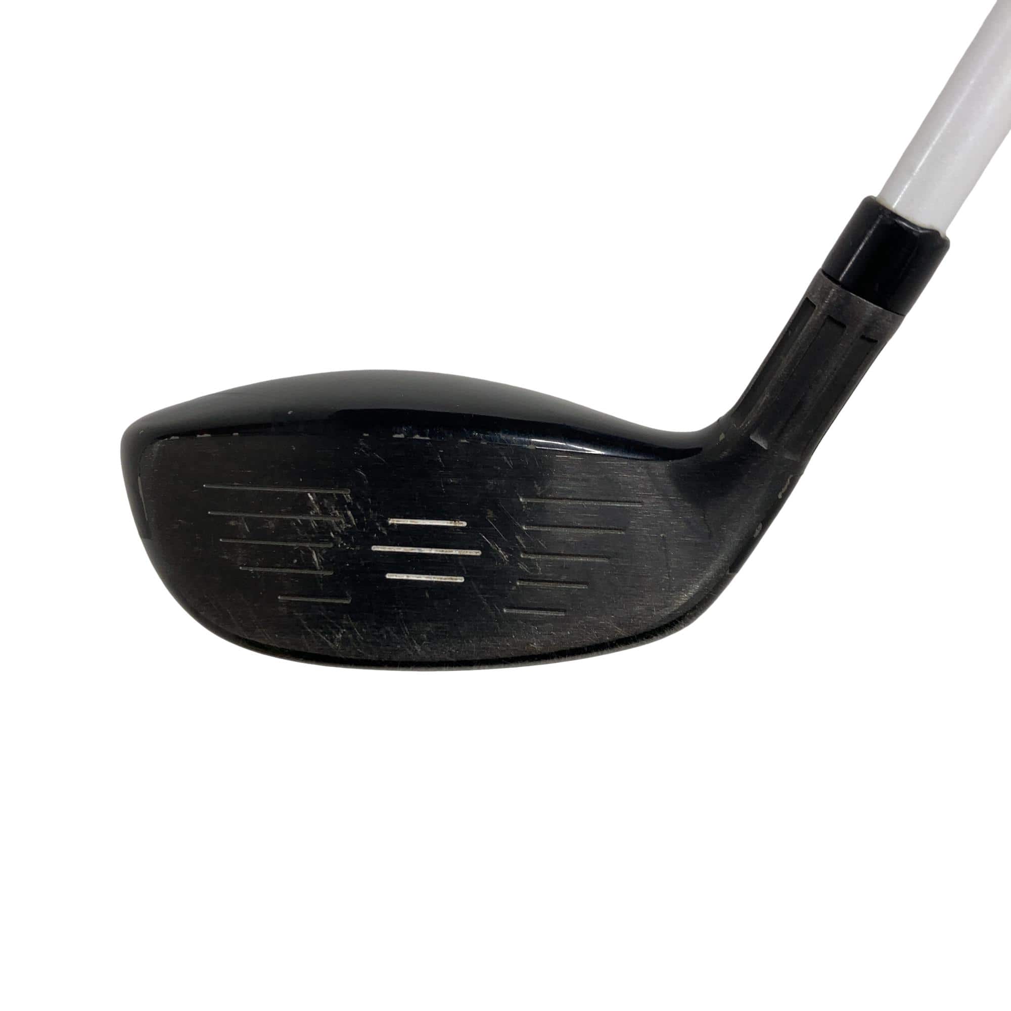 �l�Q�@�t�T�@���f�B�[�X