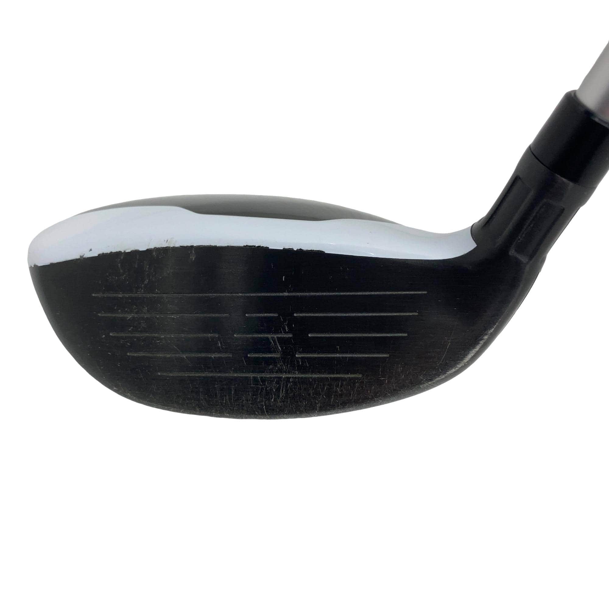 �l�Q�i�Q�O�P�V�j�@�t�T�@���f�B�[�X