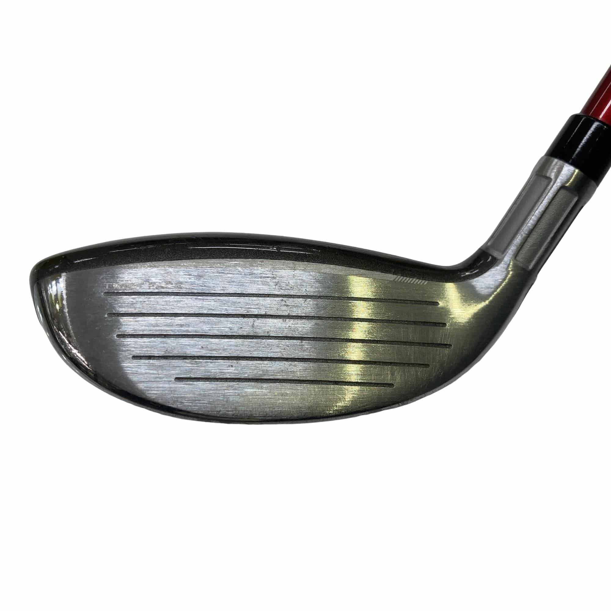 �r�s�d�`�k�s�g�@�t�S�@���f�B�[�X