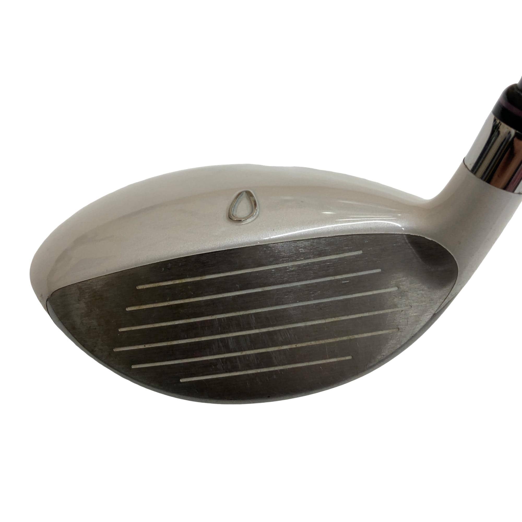 �r���������@�l���������@�l�|�P�O�i�s���N�j�@�X�v�@���f�B�[�X