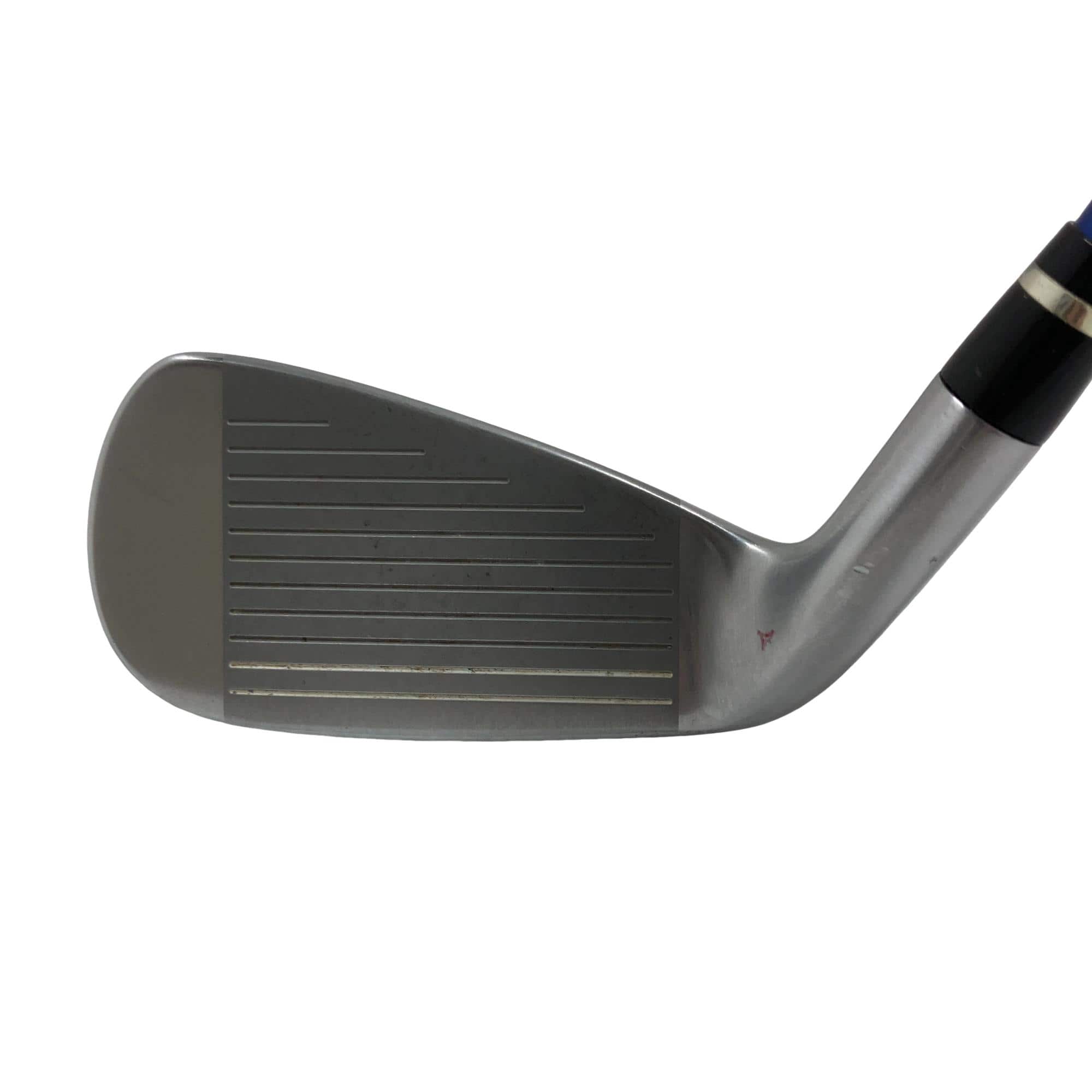 �������������@�t�c�{�Q�@�S�r�i���{���F�S�{�Z�b�g�j